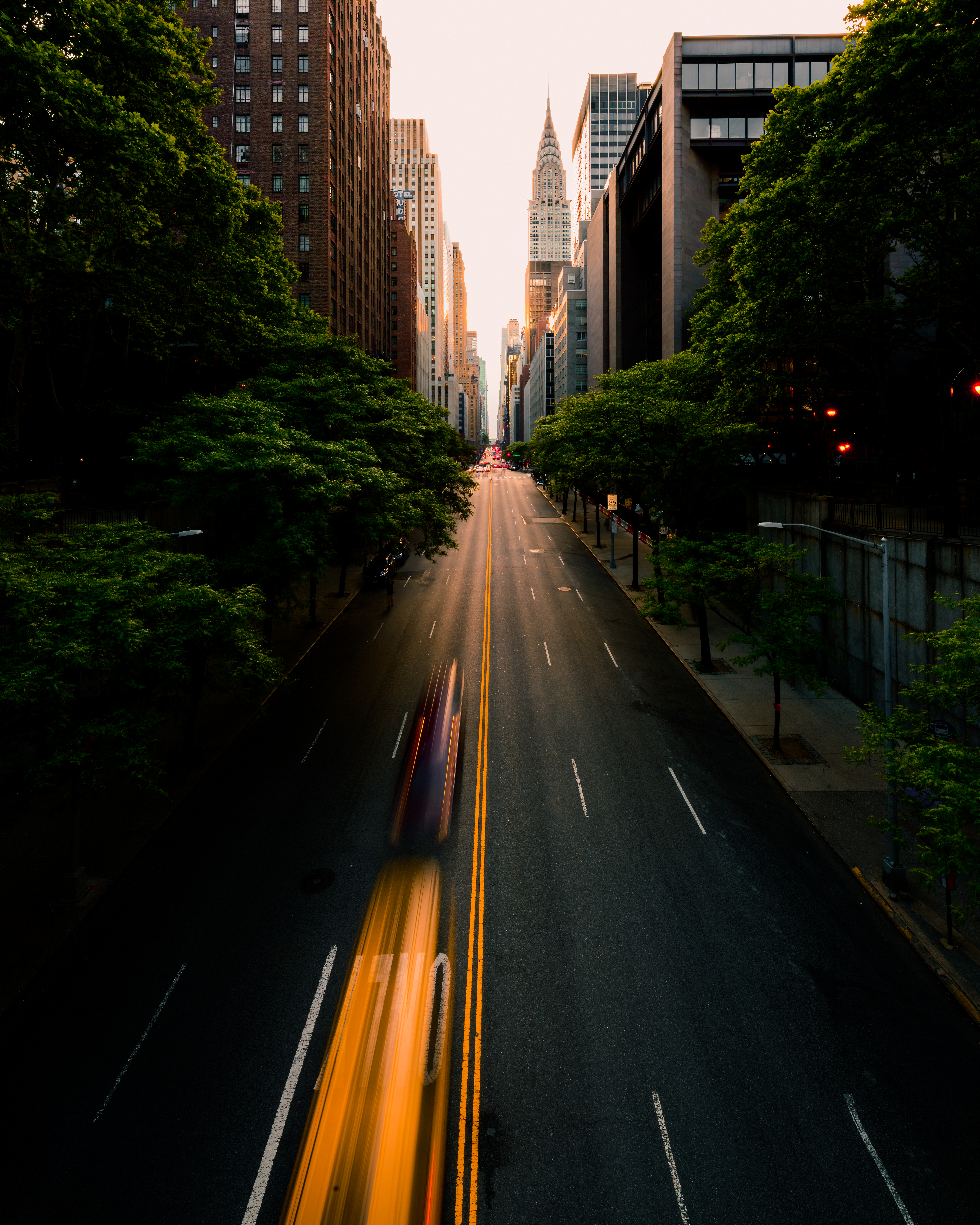 Spring Streakers #18/55