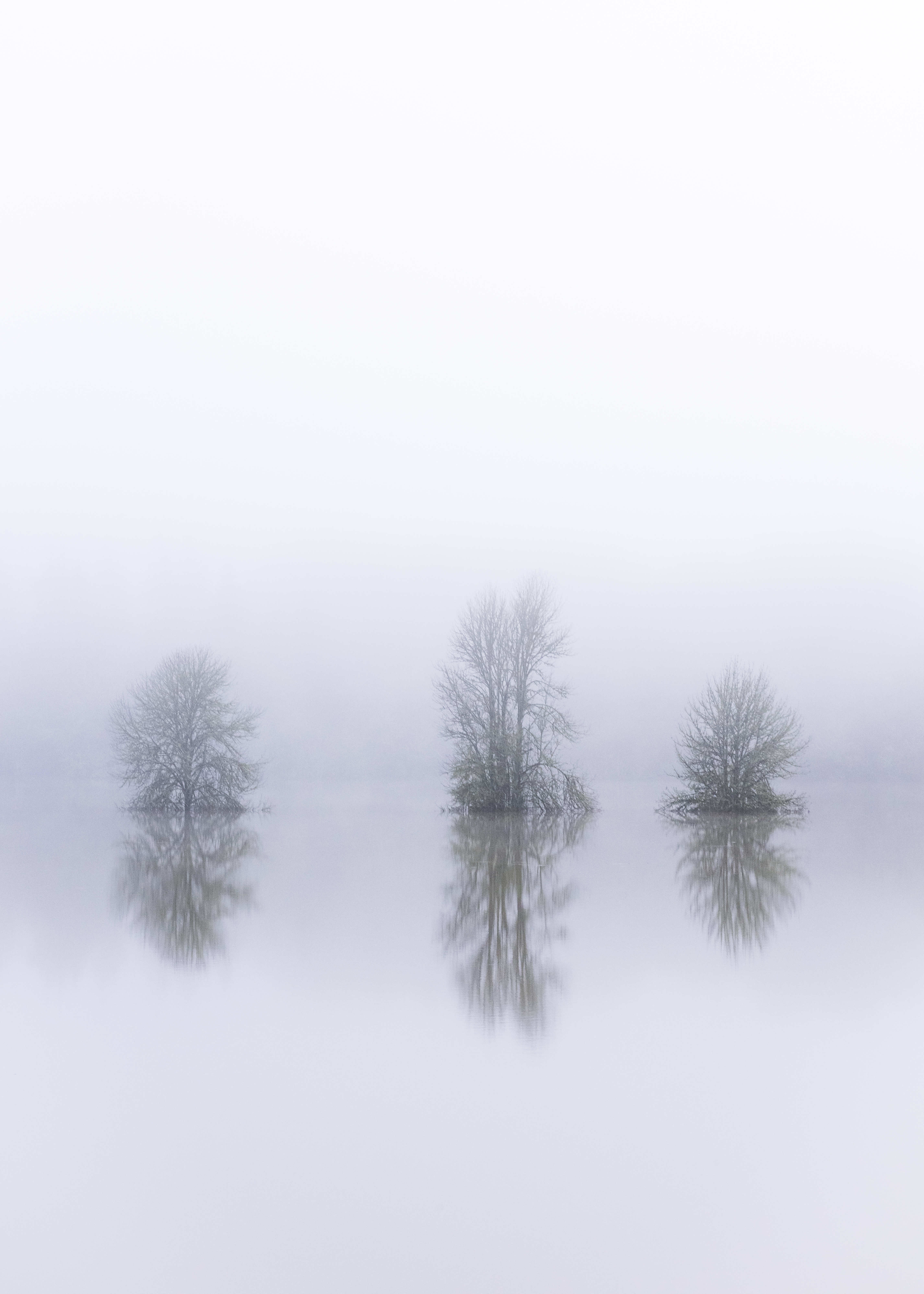 Reflecting During Times of Uncertainty