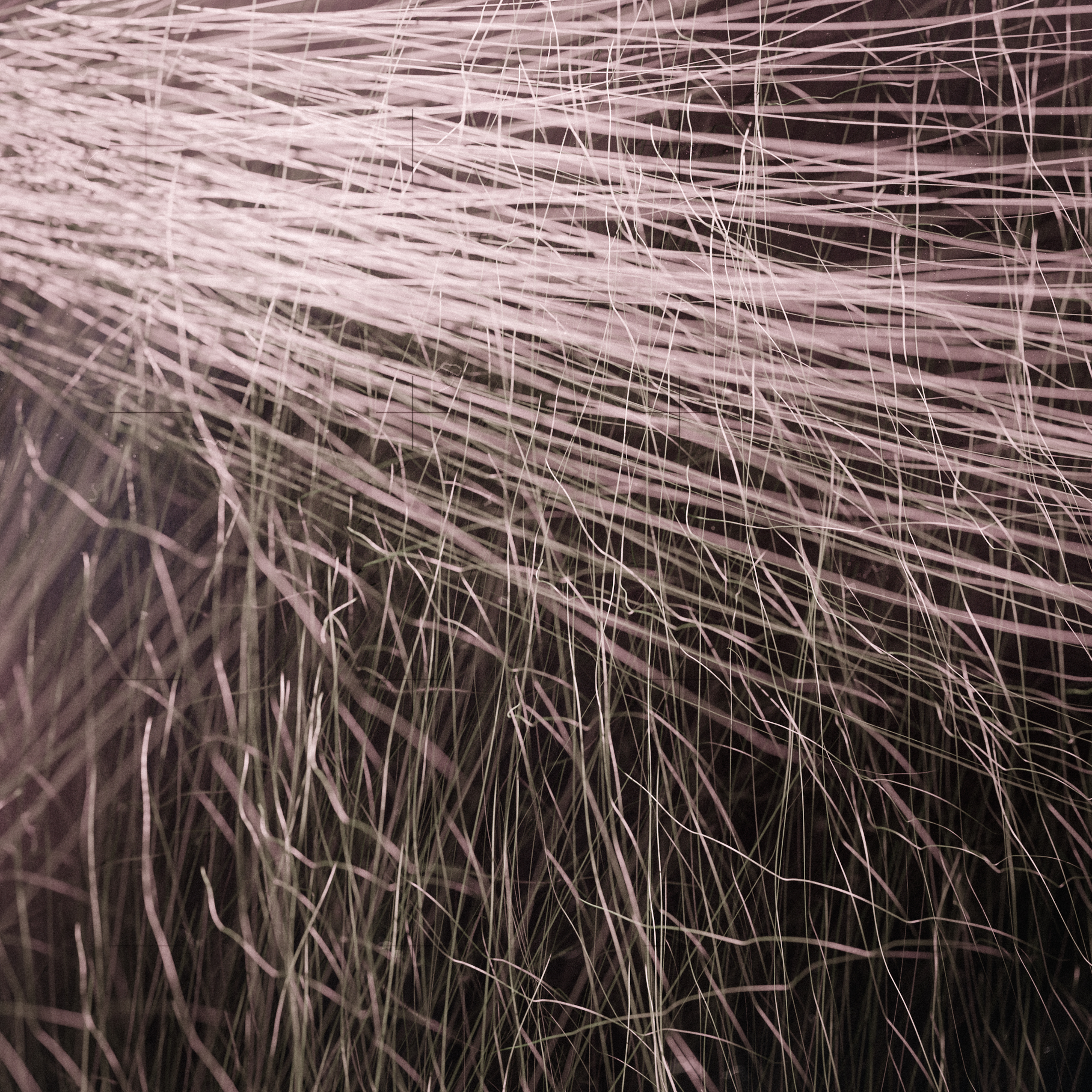 First Contact — 04