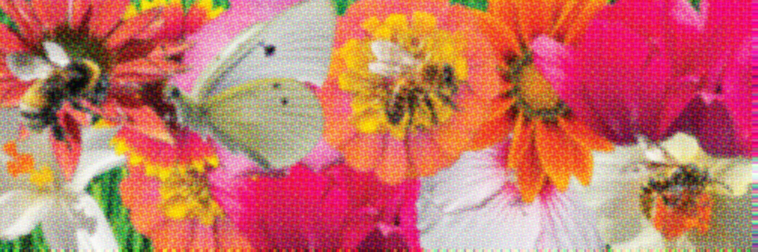 Flower Banners #16