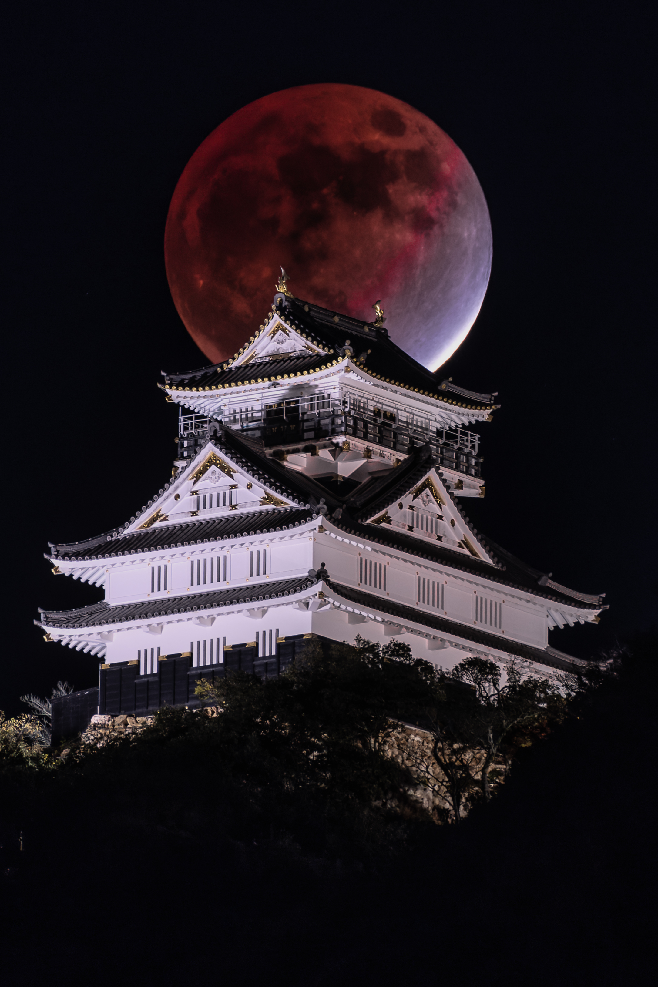 Tsukuyomi-月読