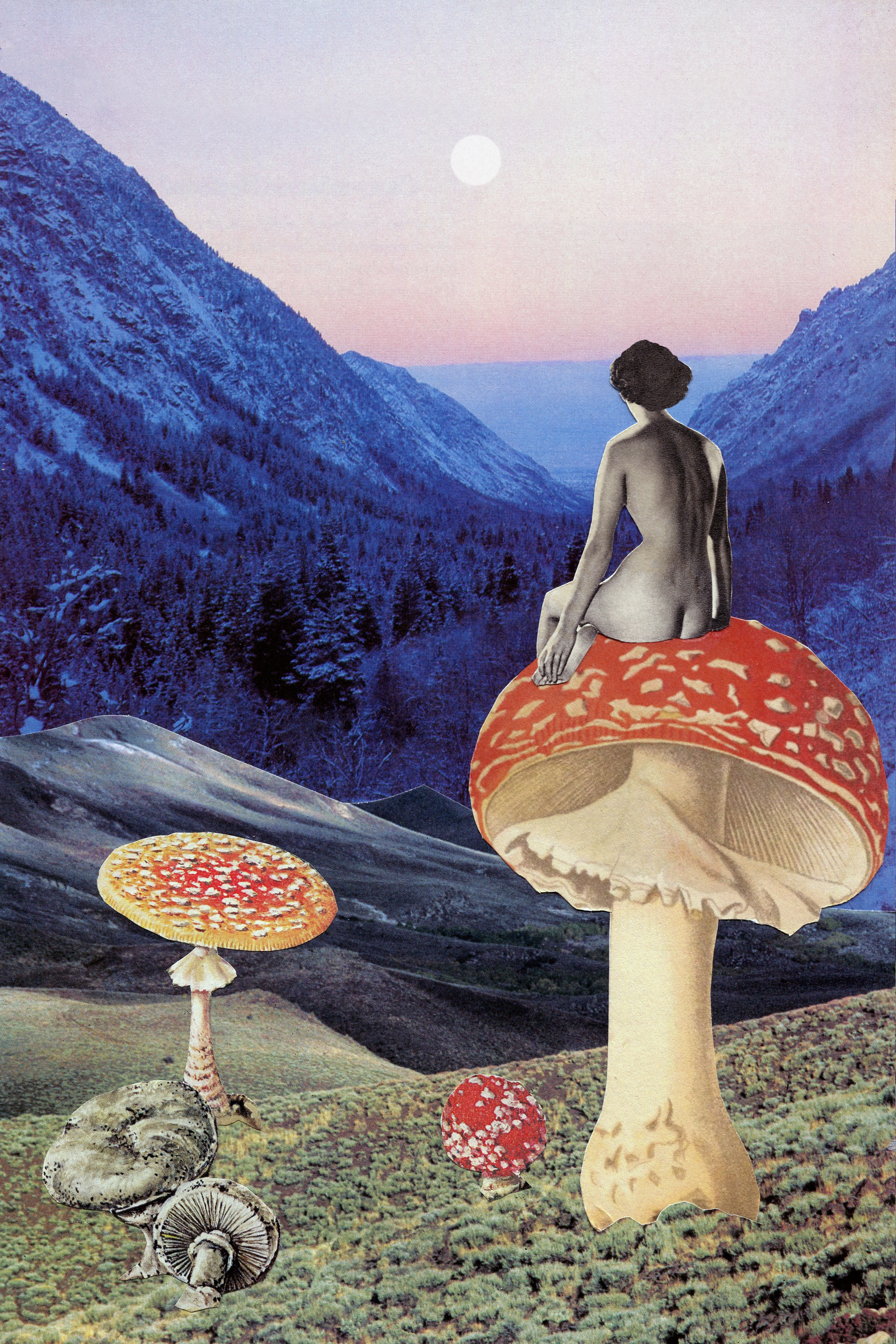 Go Ask Alice