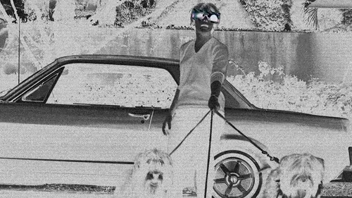 American Dream. Made in Hollywood #31