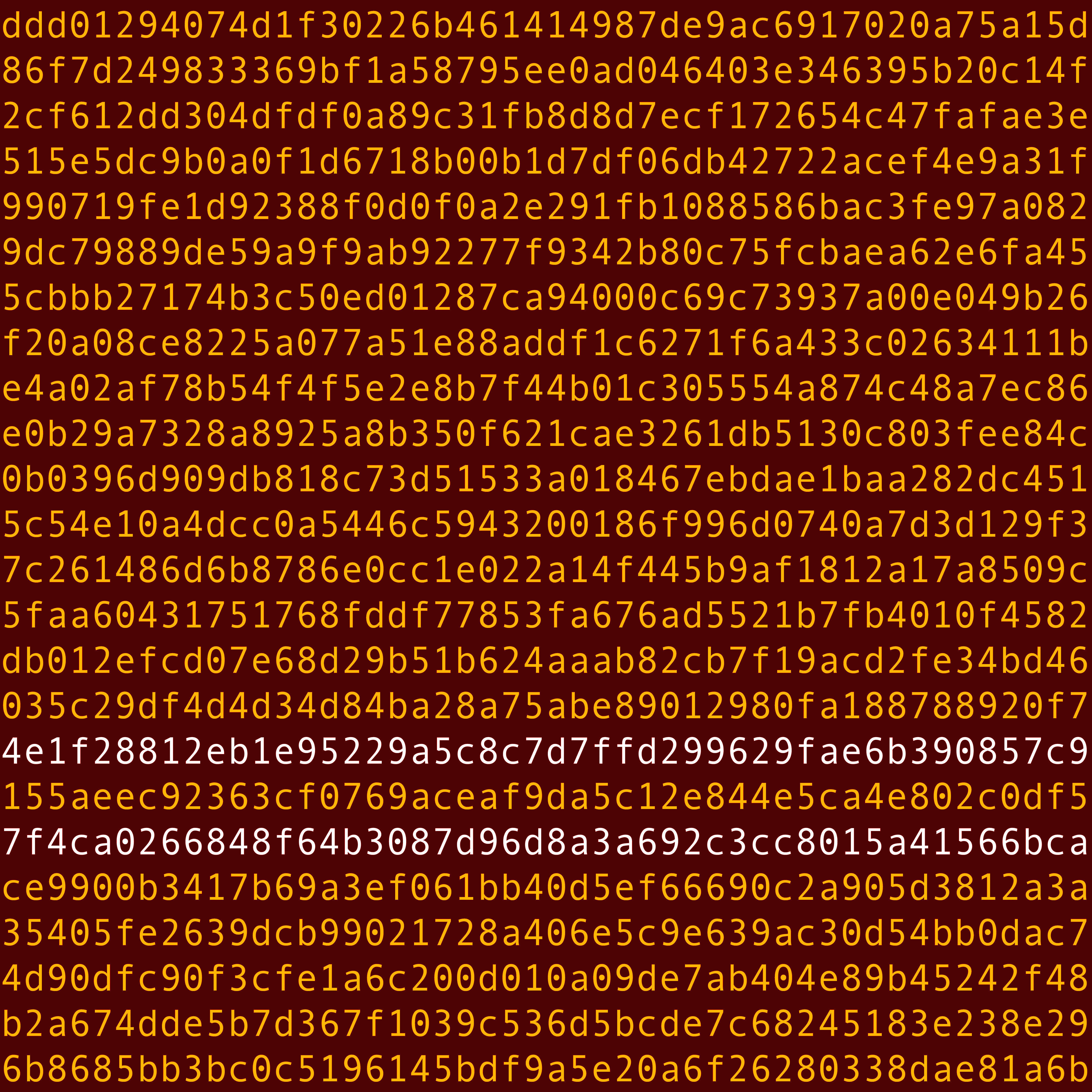1111 #0007