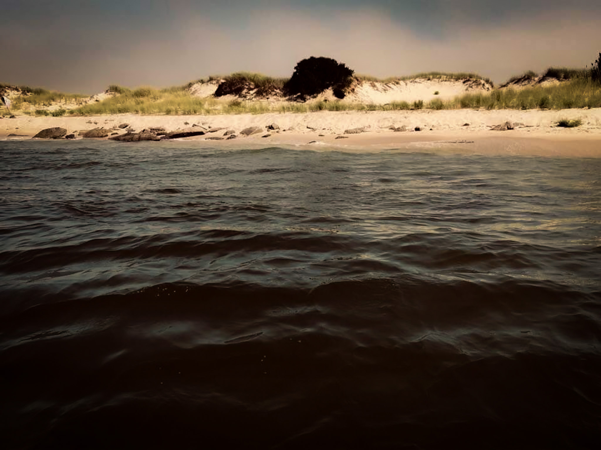 Sea of Dreams #6/30