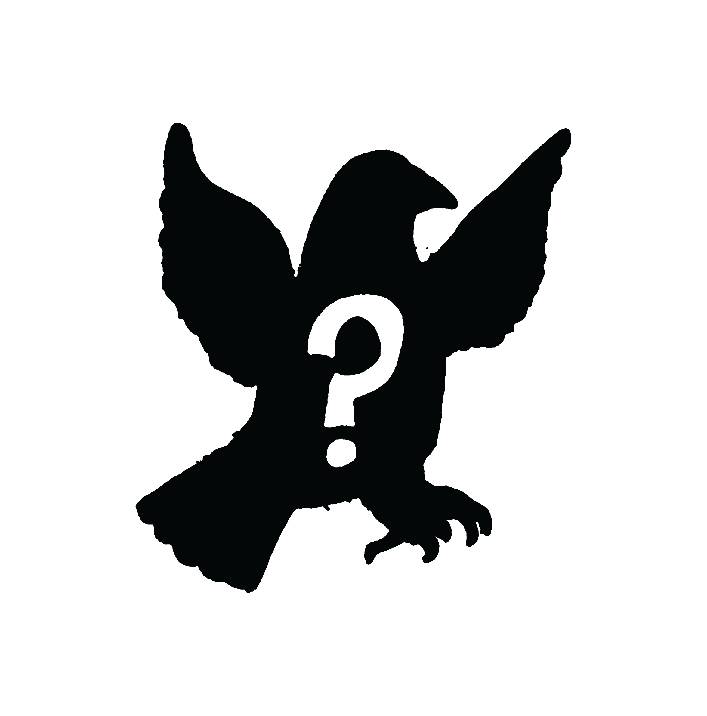 MYSTERY PIGEON #8 🤫