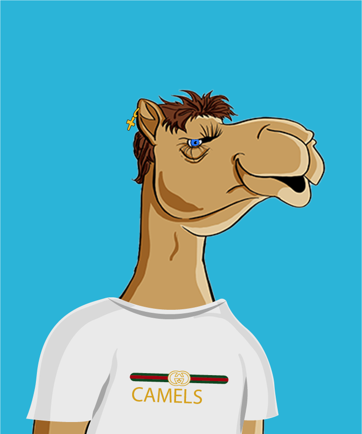 OmniCamels #651