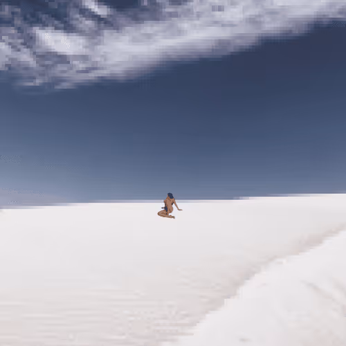 Nude Pixels in Nature_040