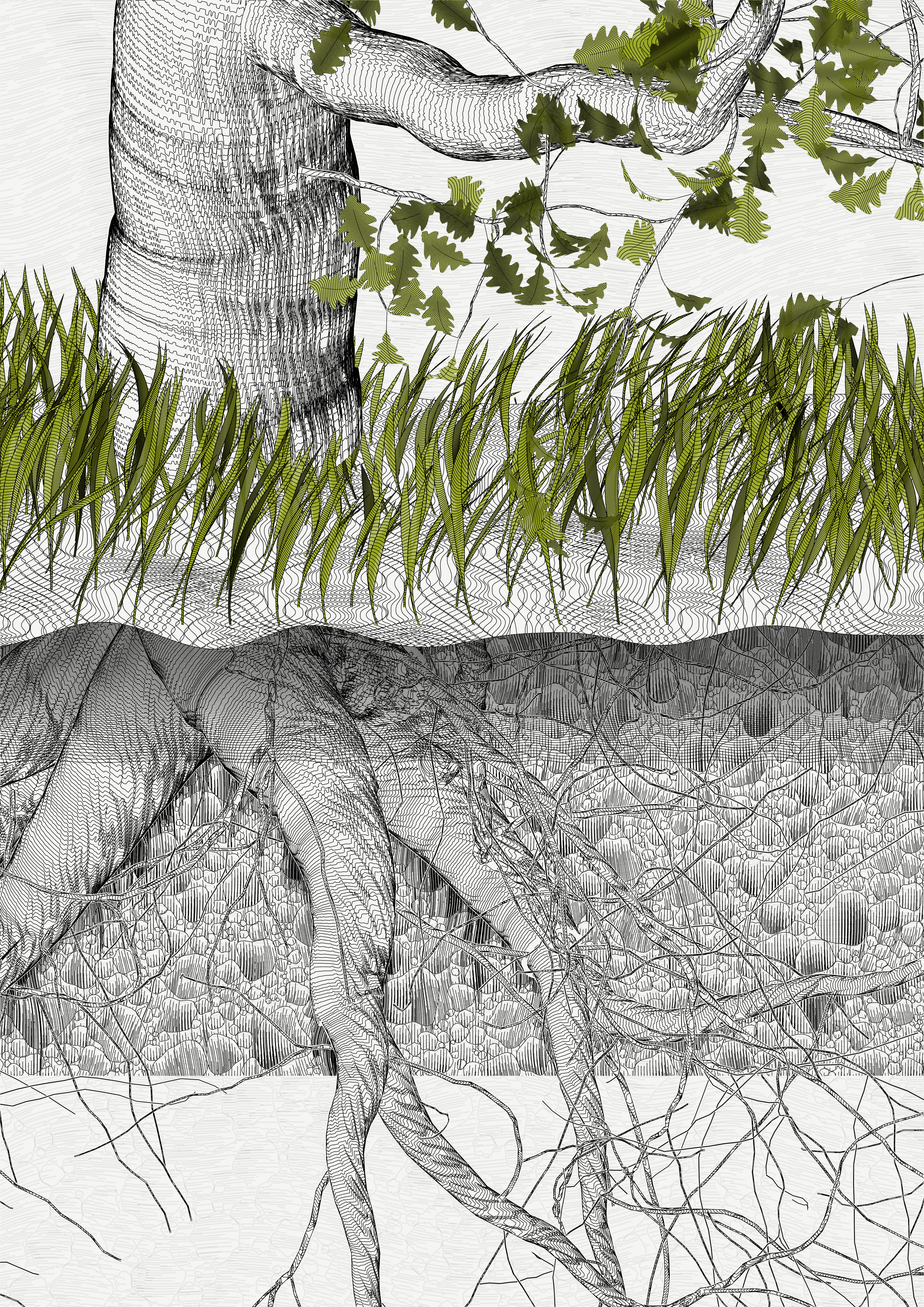 The Oak Tree part #0,-1