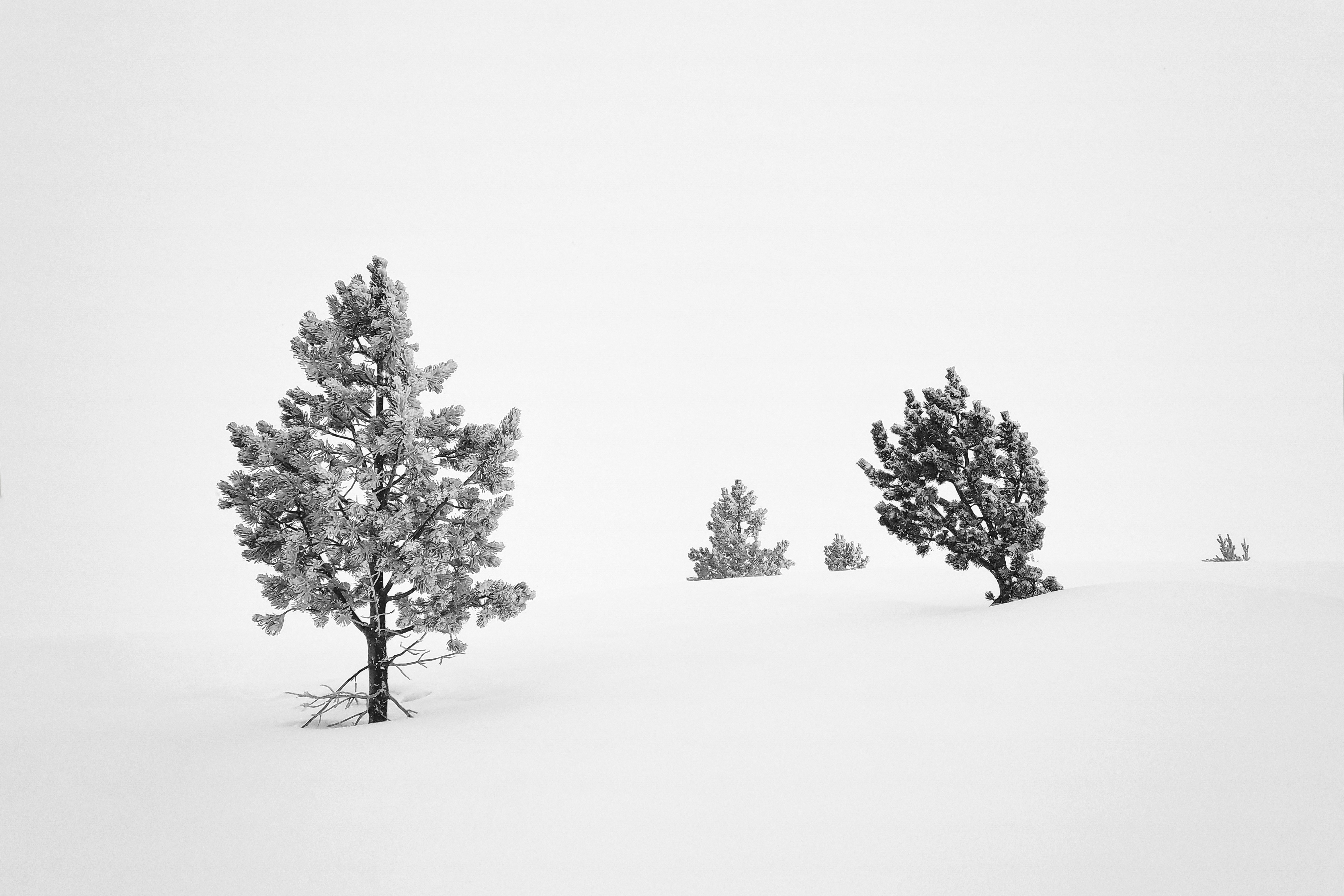 Somewhere Between Heaven and Hell