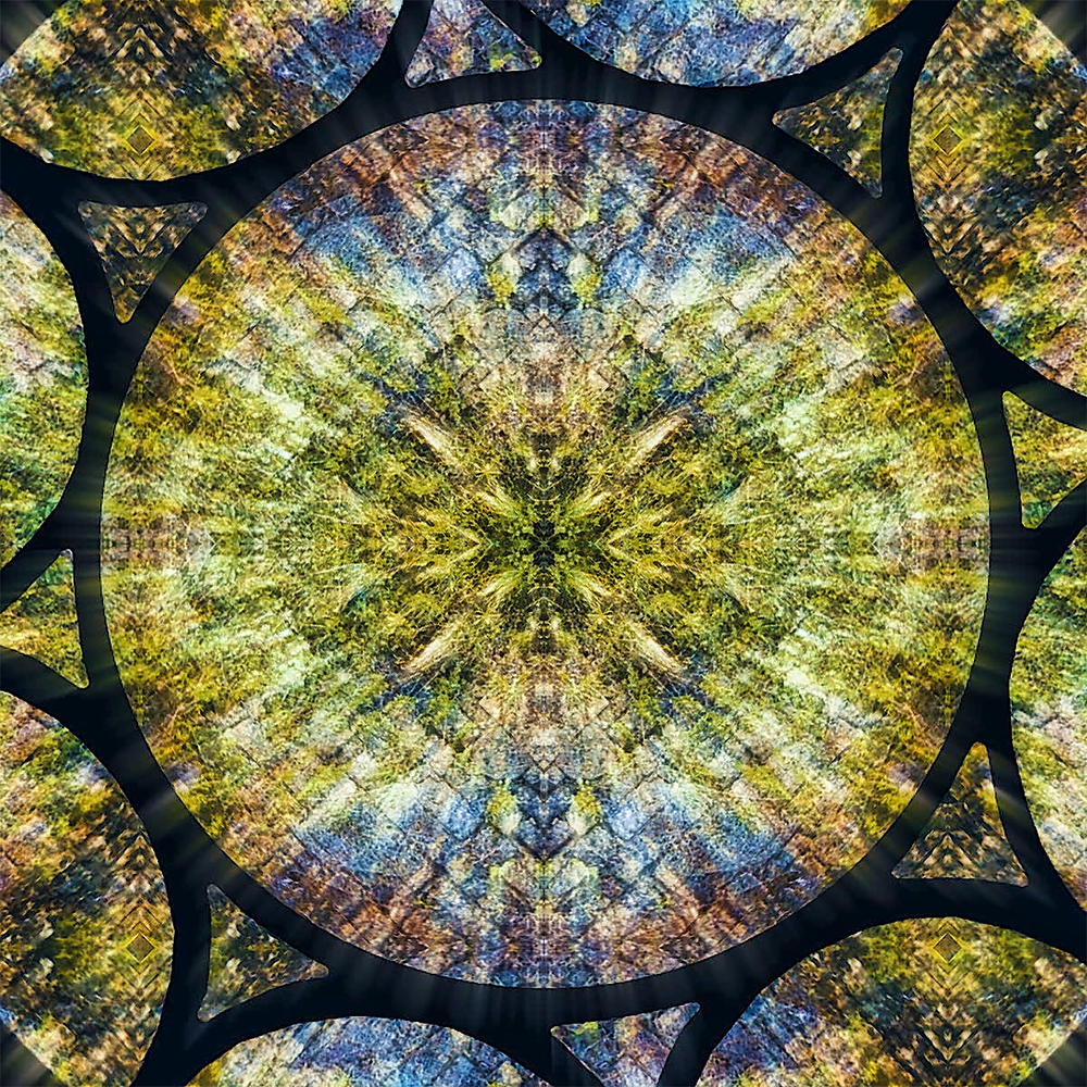 Mandala #05