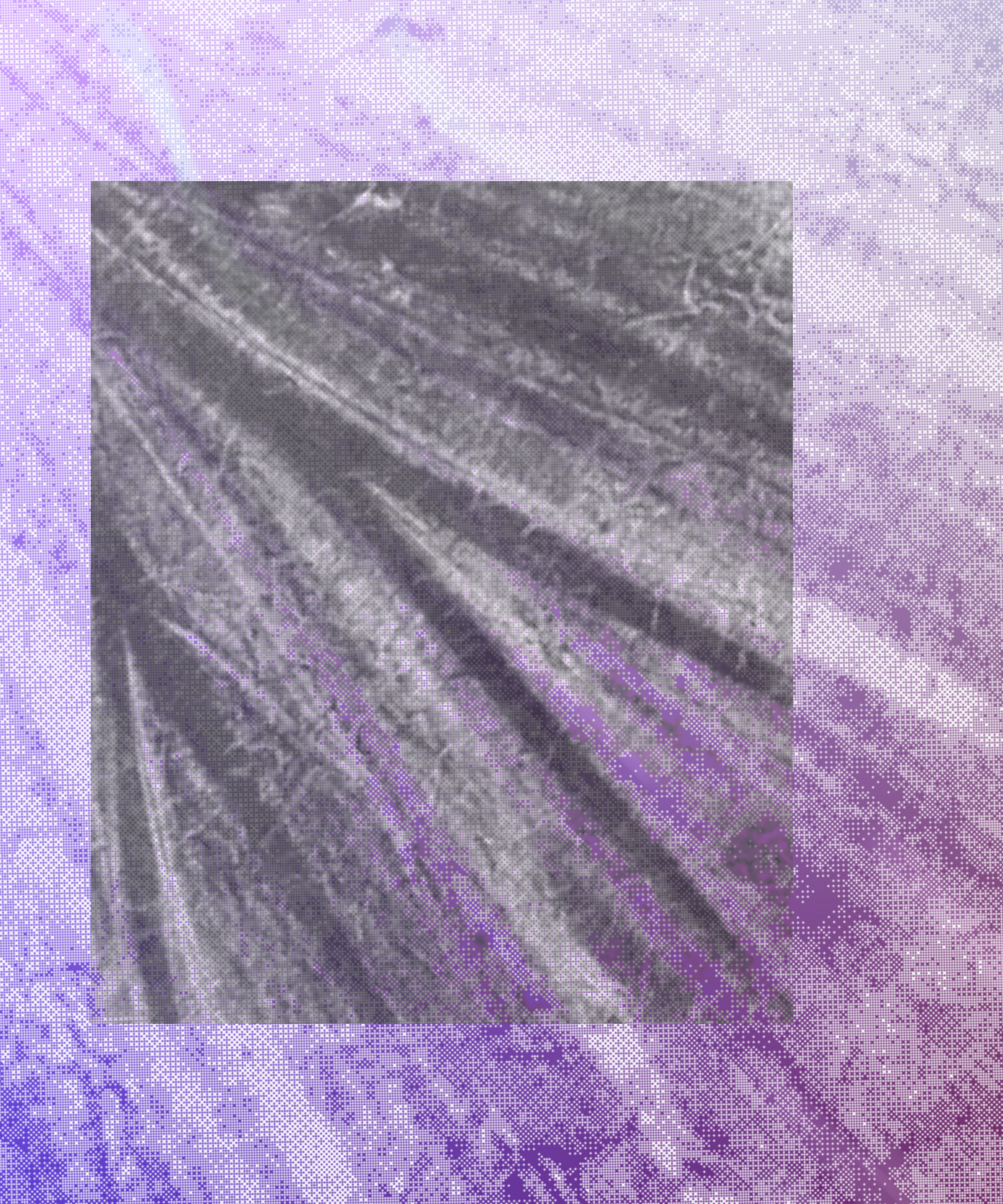 the spring begins with the first rainstorm #78