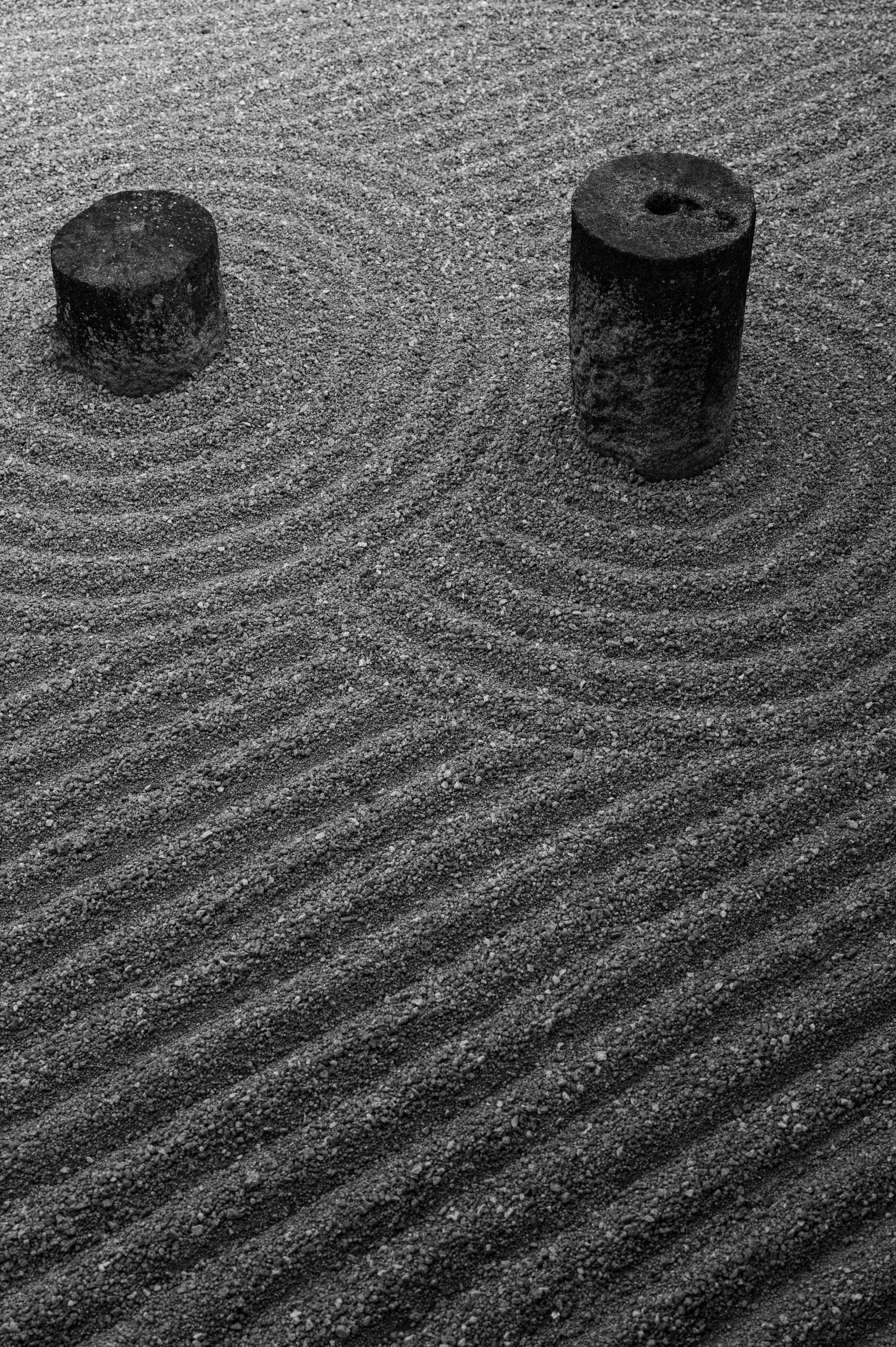 Zen Garden