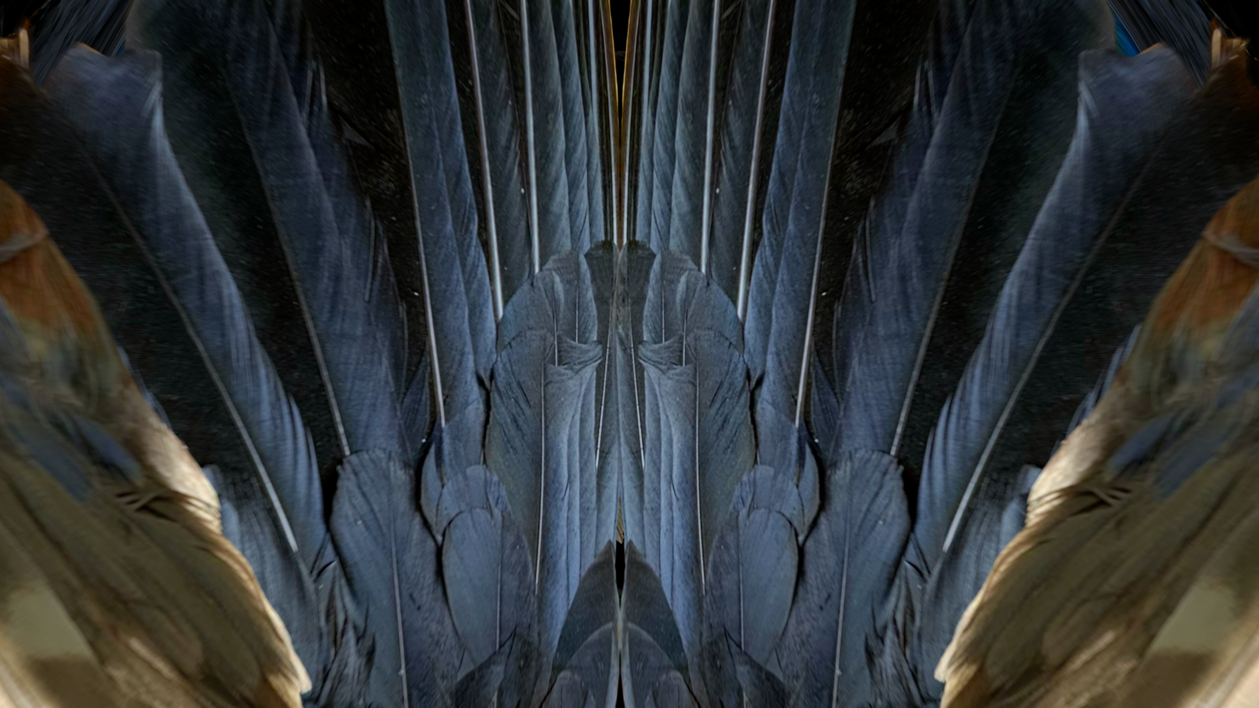 Fuga delle Sirene XVIII