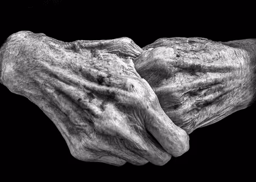 Hands