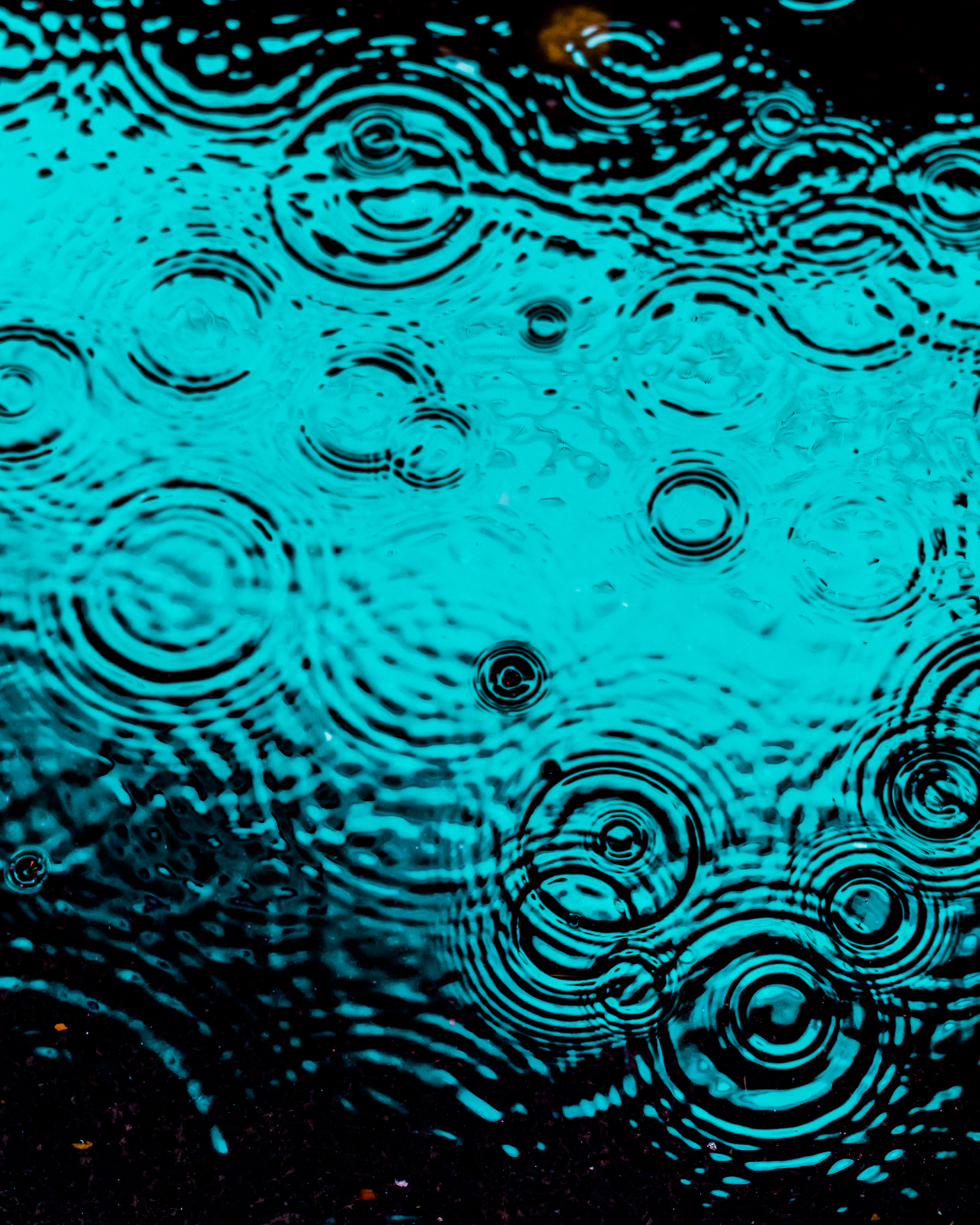DRIP #49