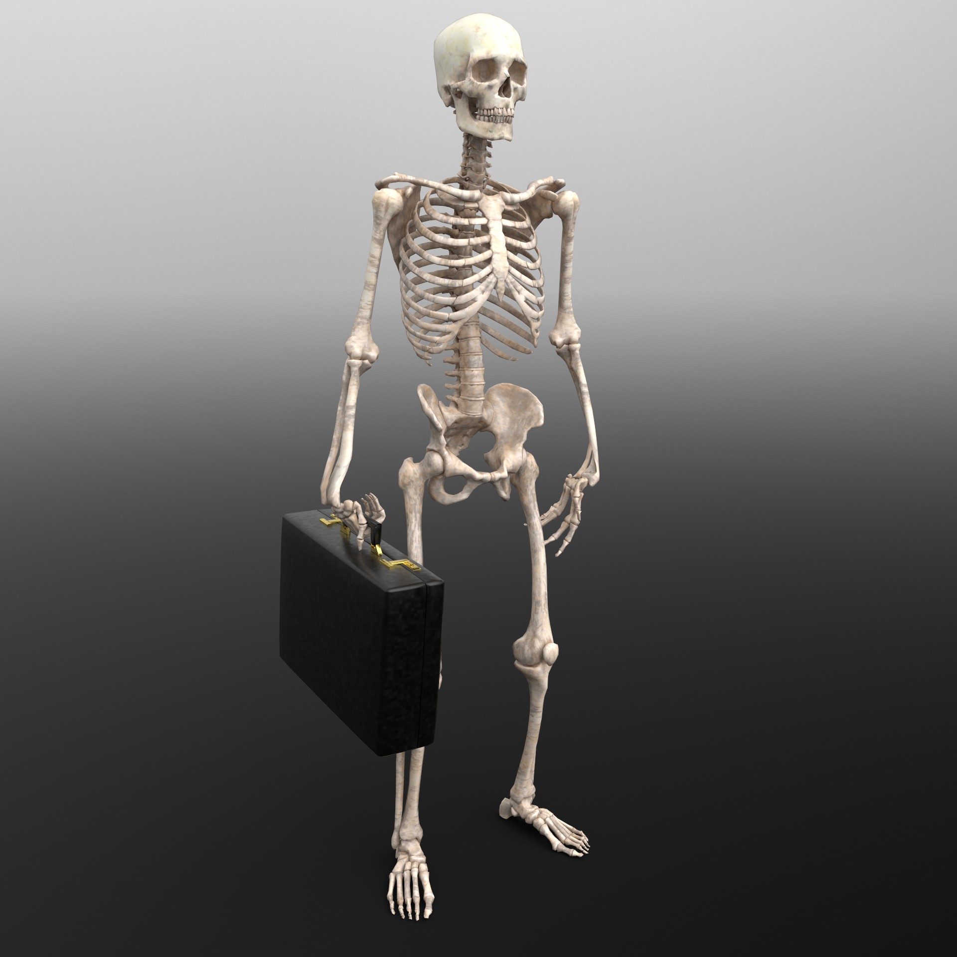 "A Spiritual Being Having A Human Experience" Bidders' Edition