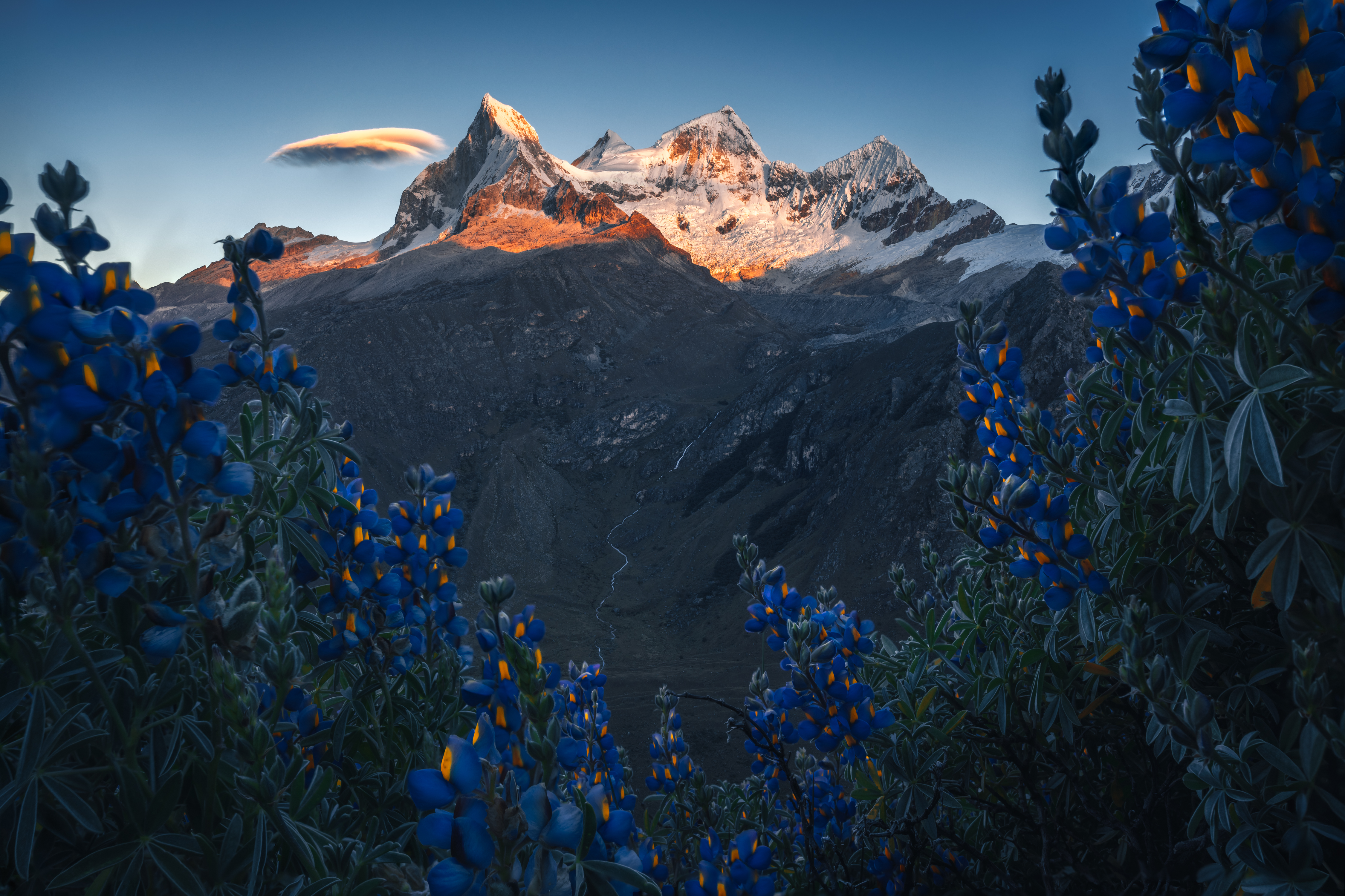 Wilderness to Blockchain #59 - Enchanted Valley