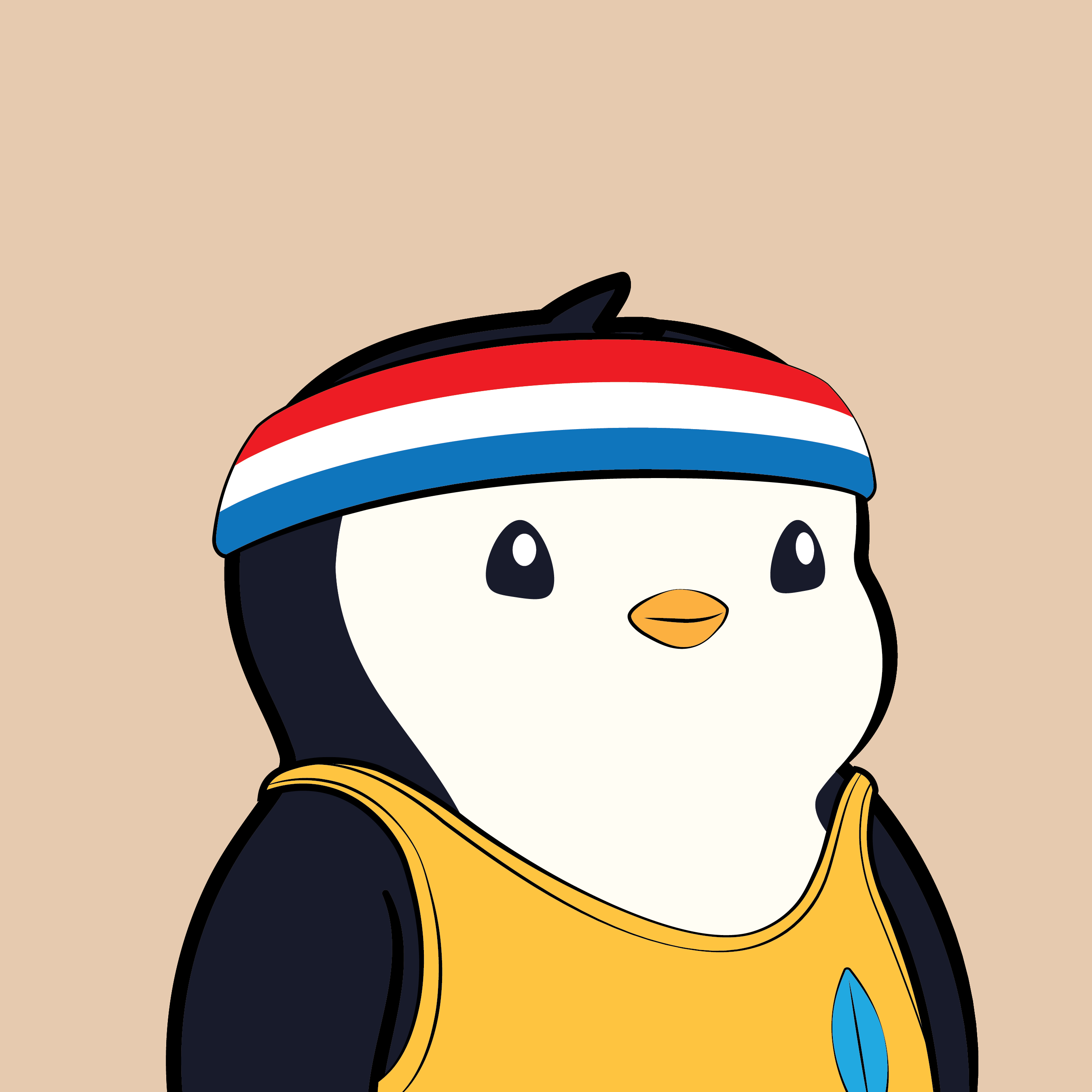 Pudgy #7075