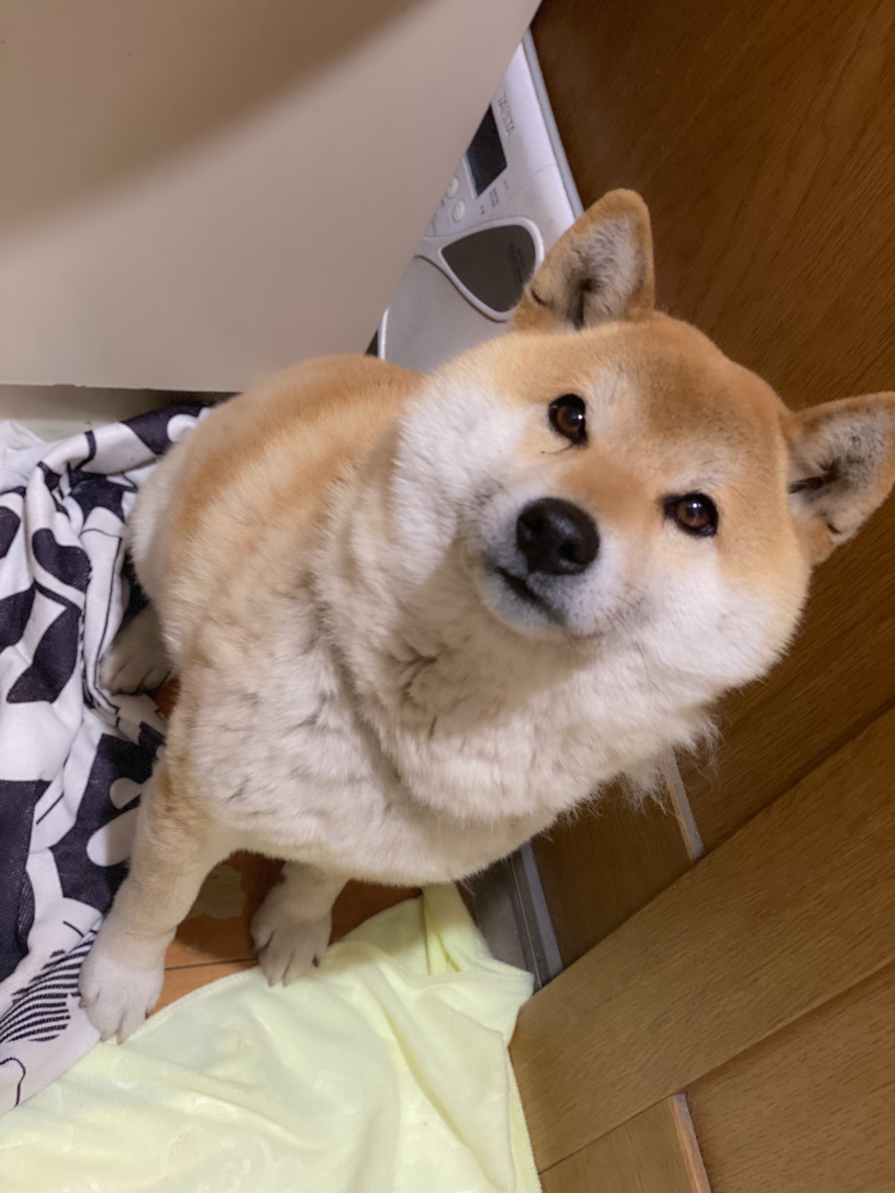 jasongray.base.eth Basenames (.base.eth domains) based on ENS PFP