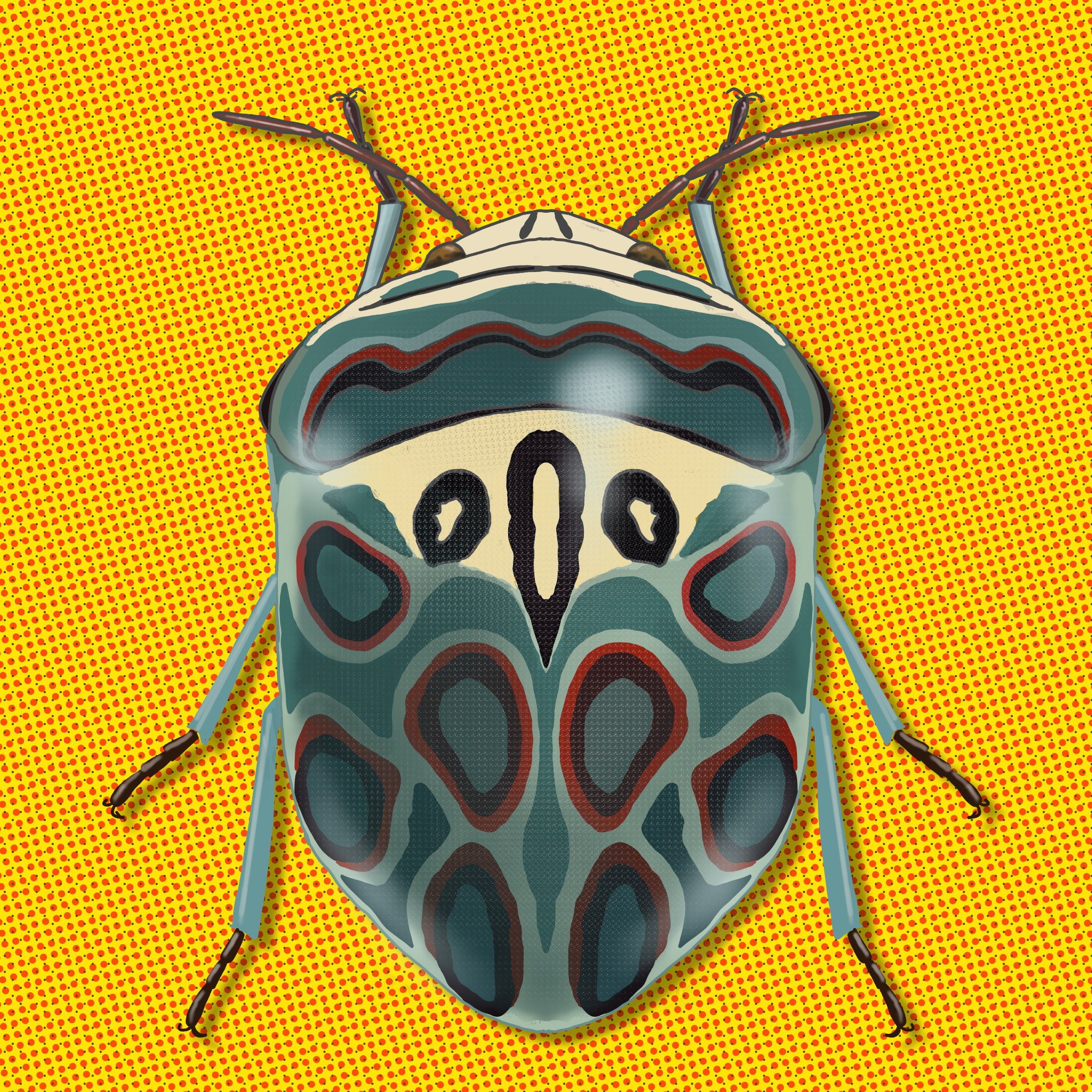 Meet the Beetles #006