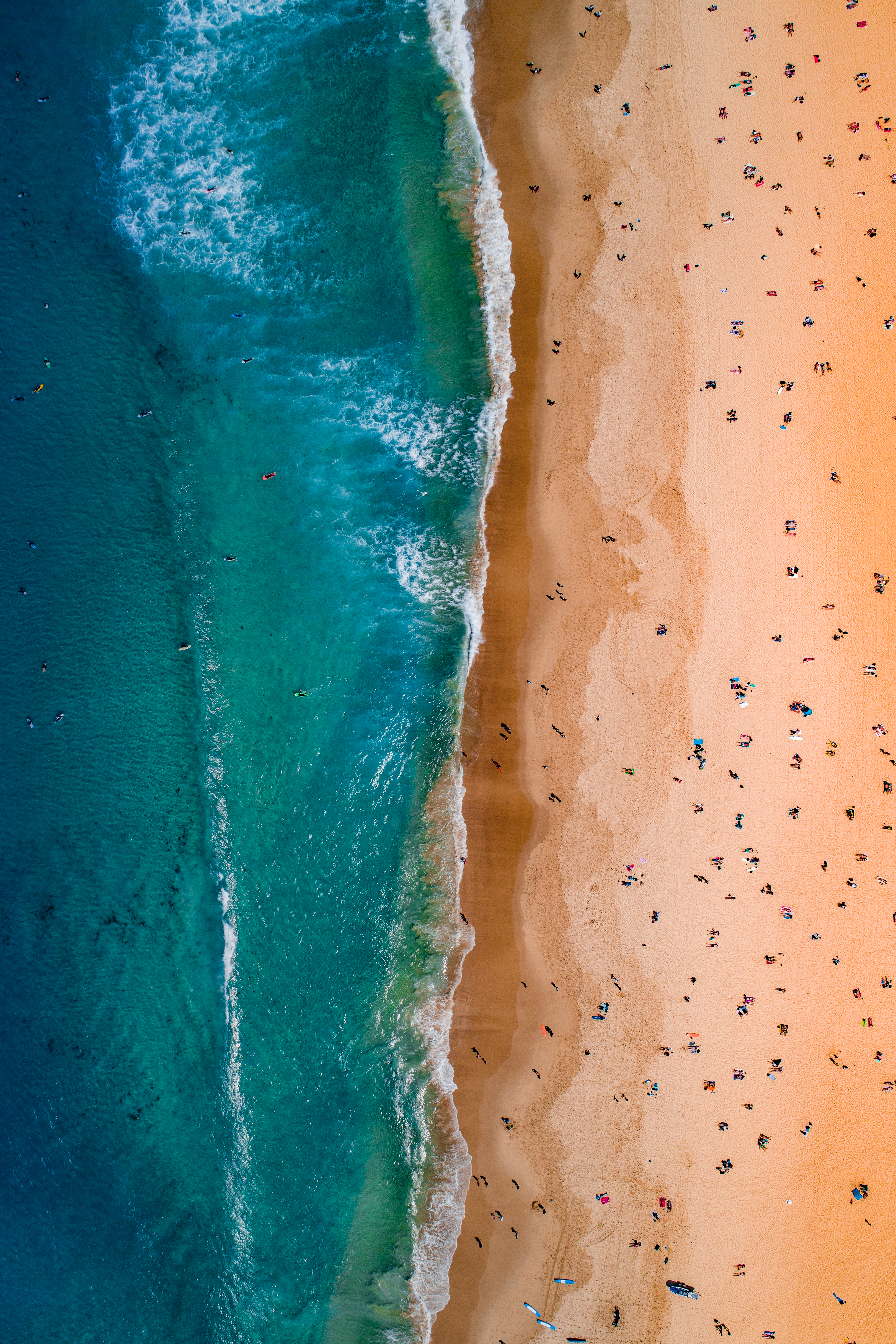 Bondi Beachlife
