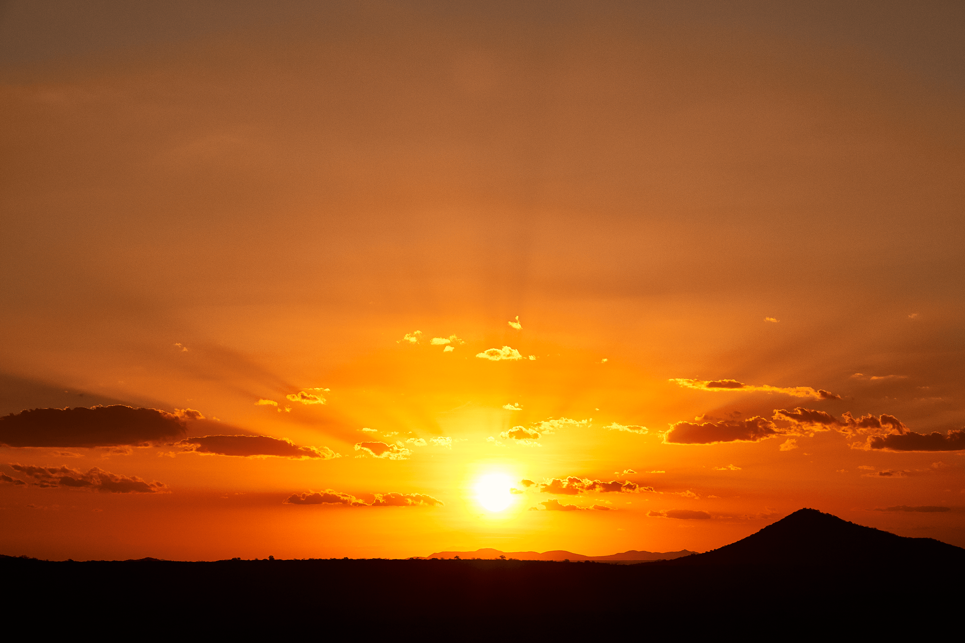 Strongest #30 - Farewell King