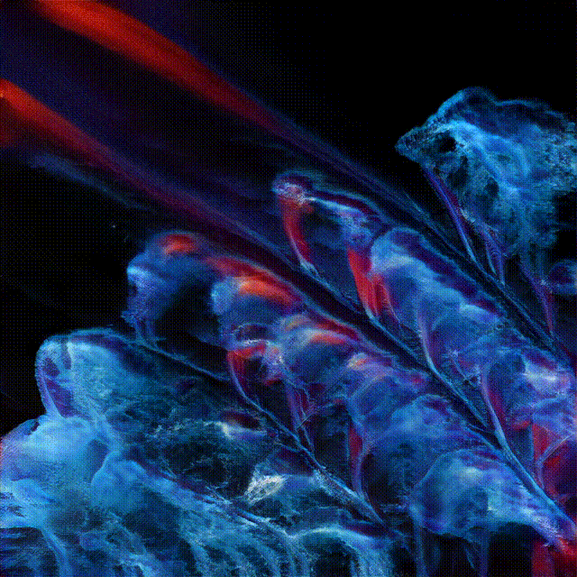 602-141 Chromatic Serenity Inspires