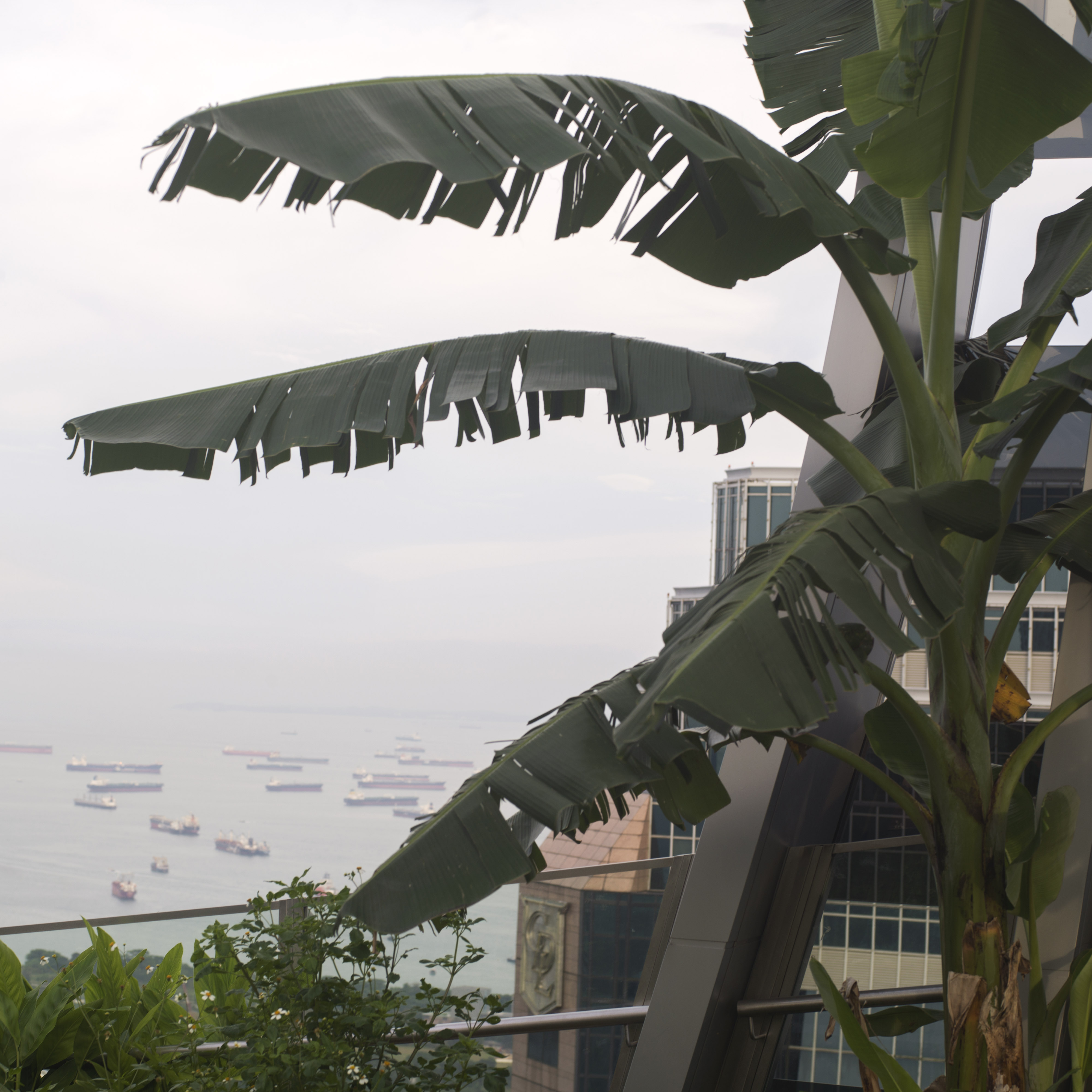 UrbanFarm  02