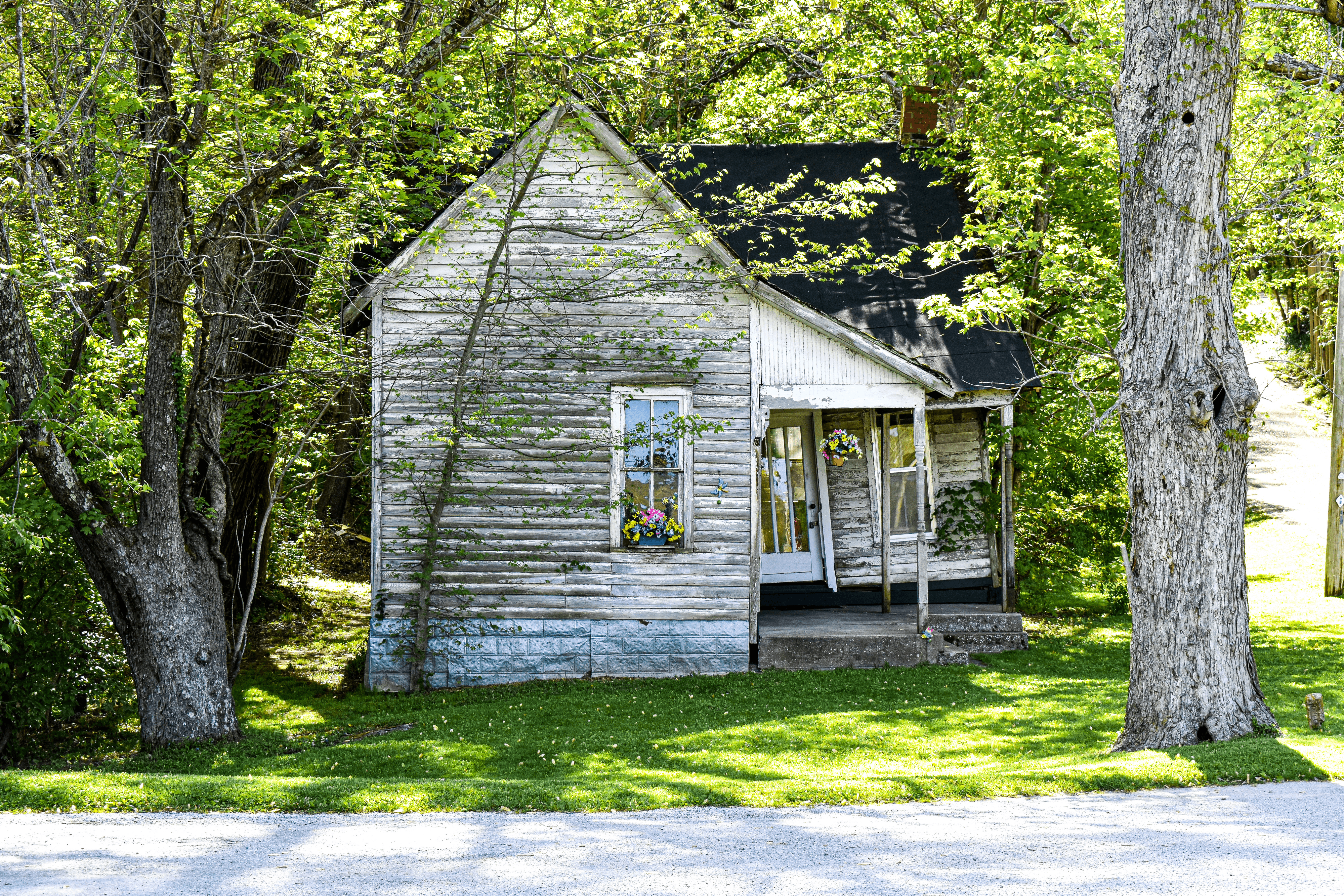 Dorothy's House 