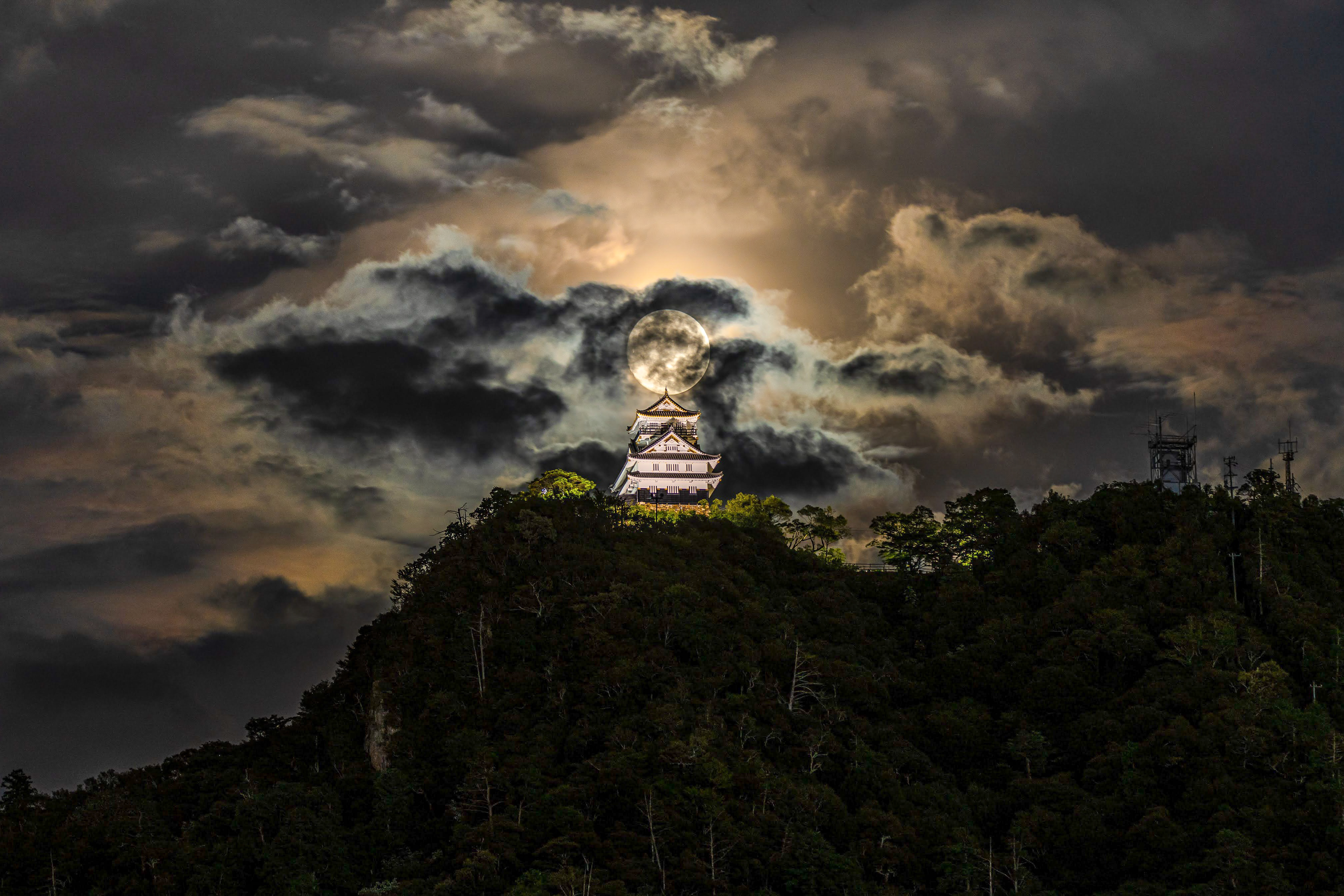 Tenka Fubu-天下布武