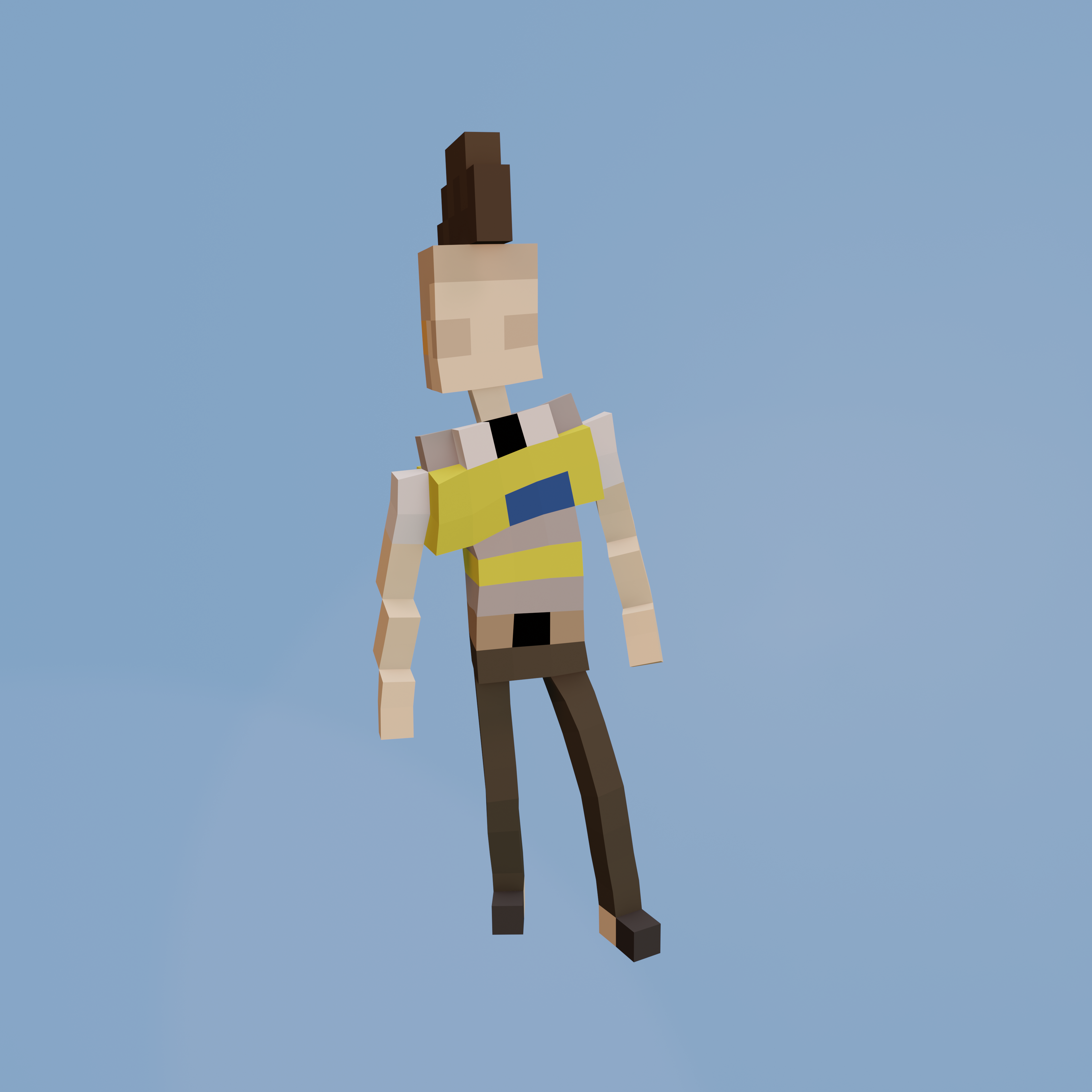 Voxel Ville Avatar #504
