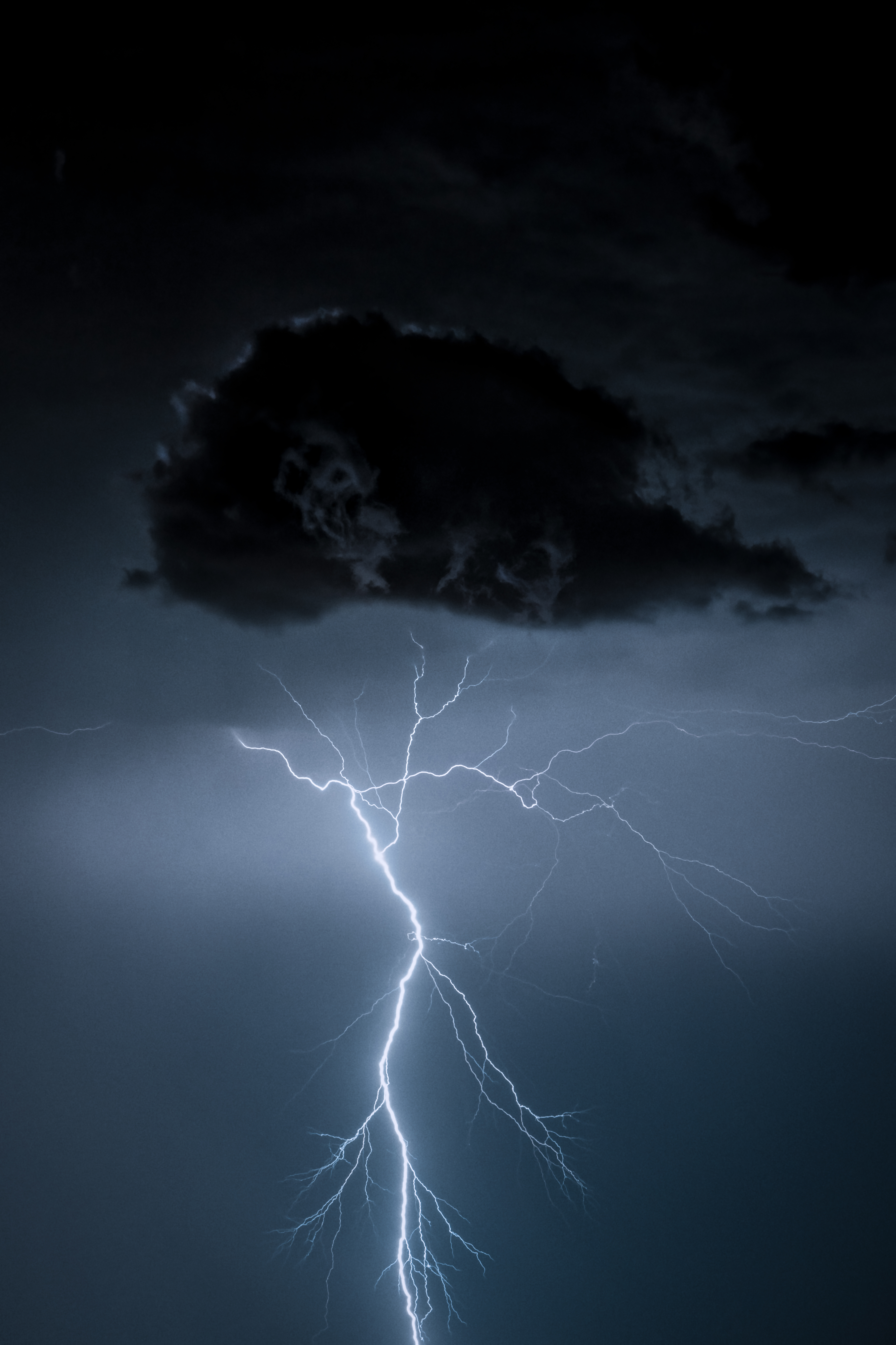 ēlectricus #16/50