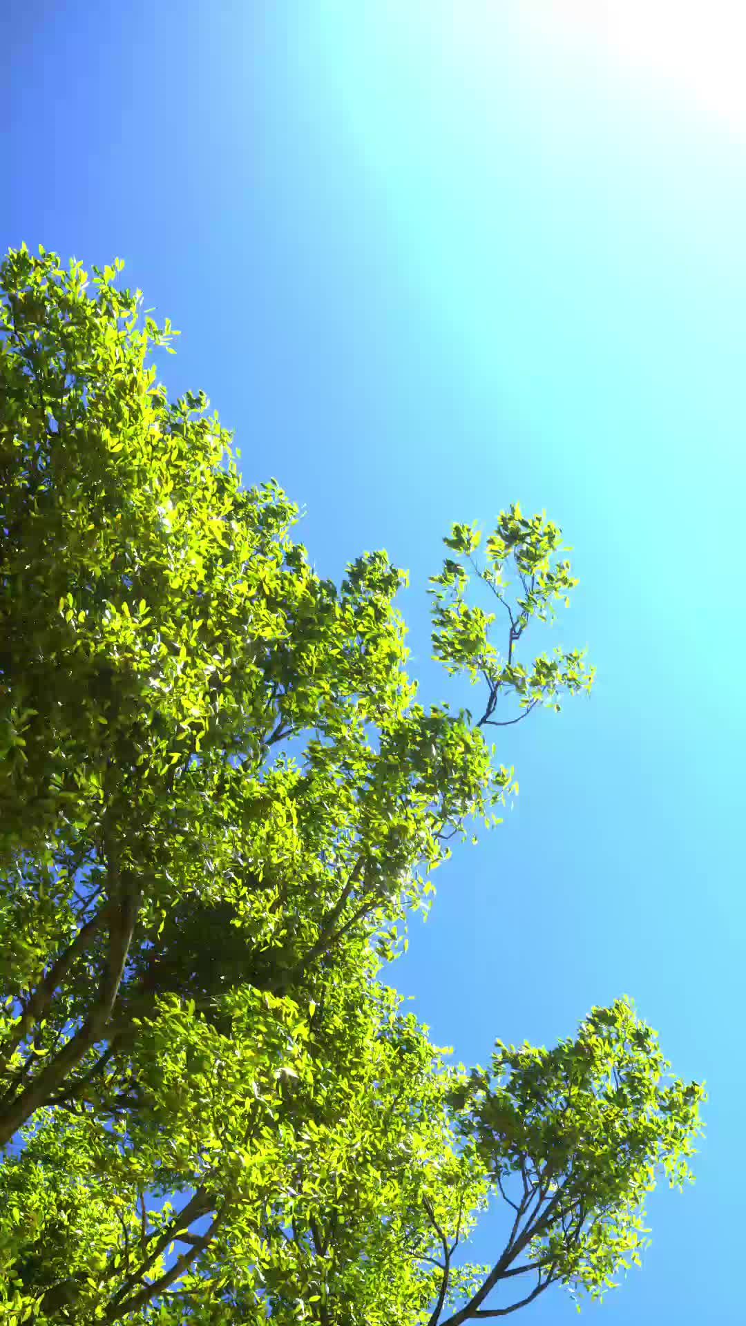 A Summer Breeze #4/10