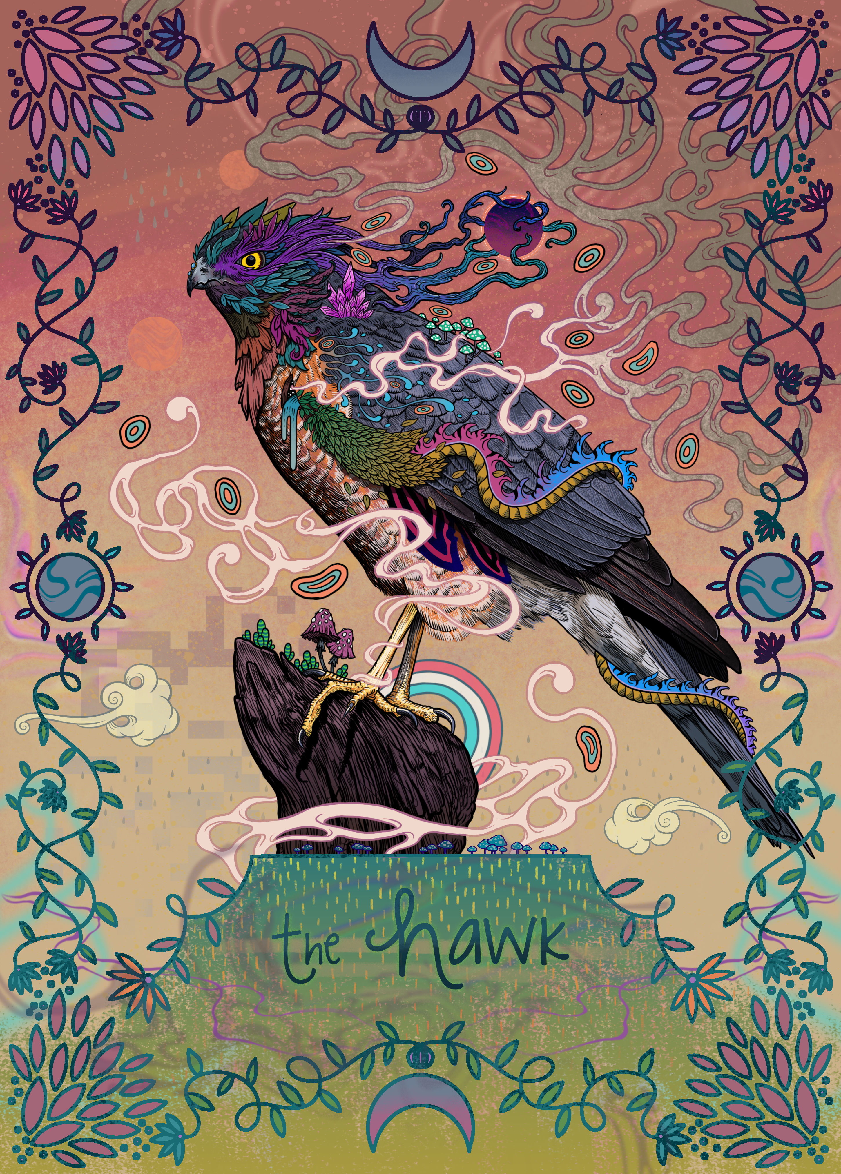 The Hawk #10/12