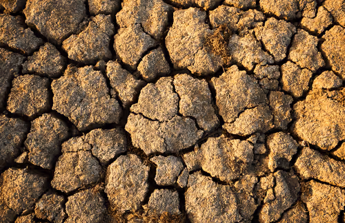 Strongest #4 - Thirst