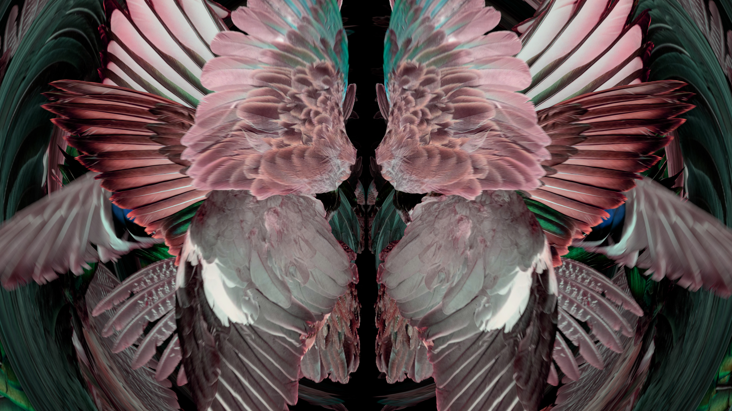 Fuga delle Sirene XLVII