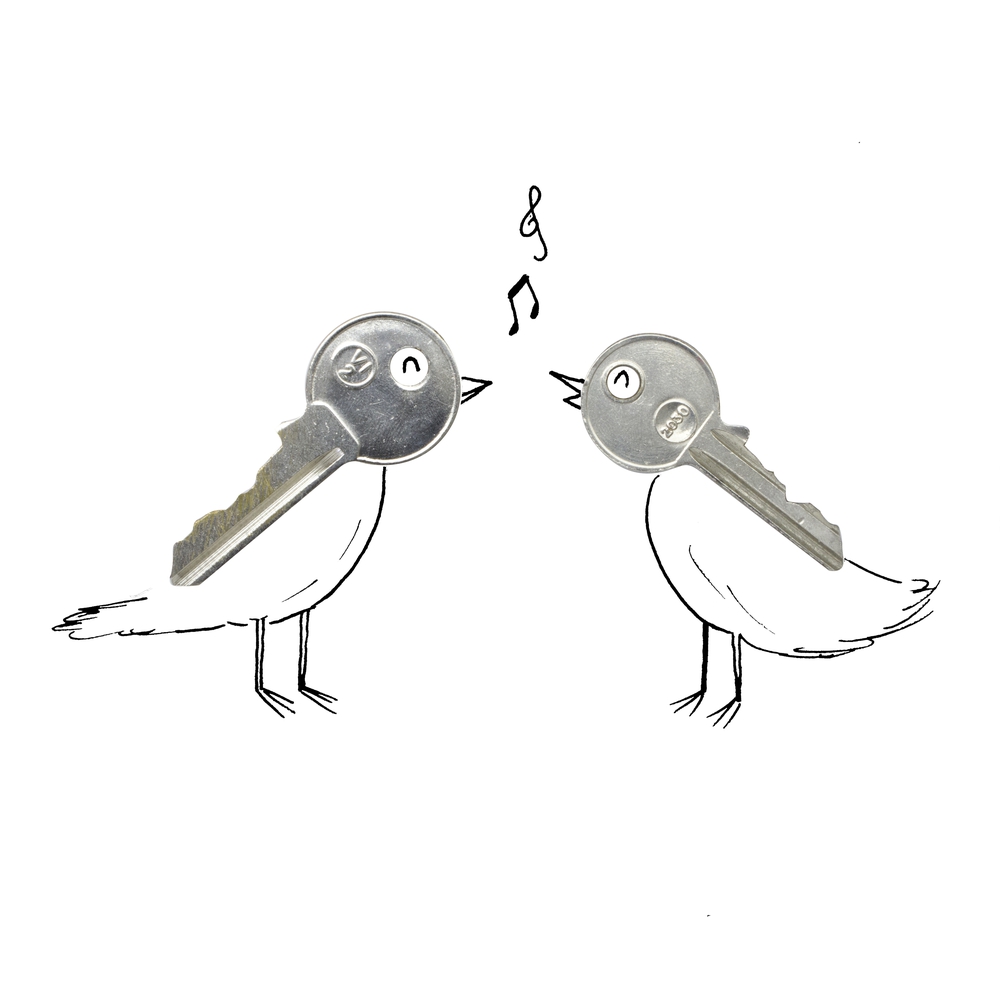 Birds