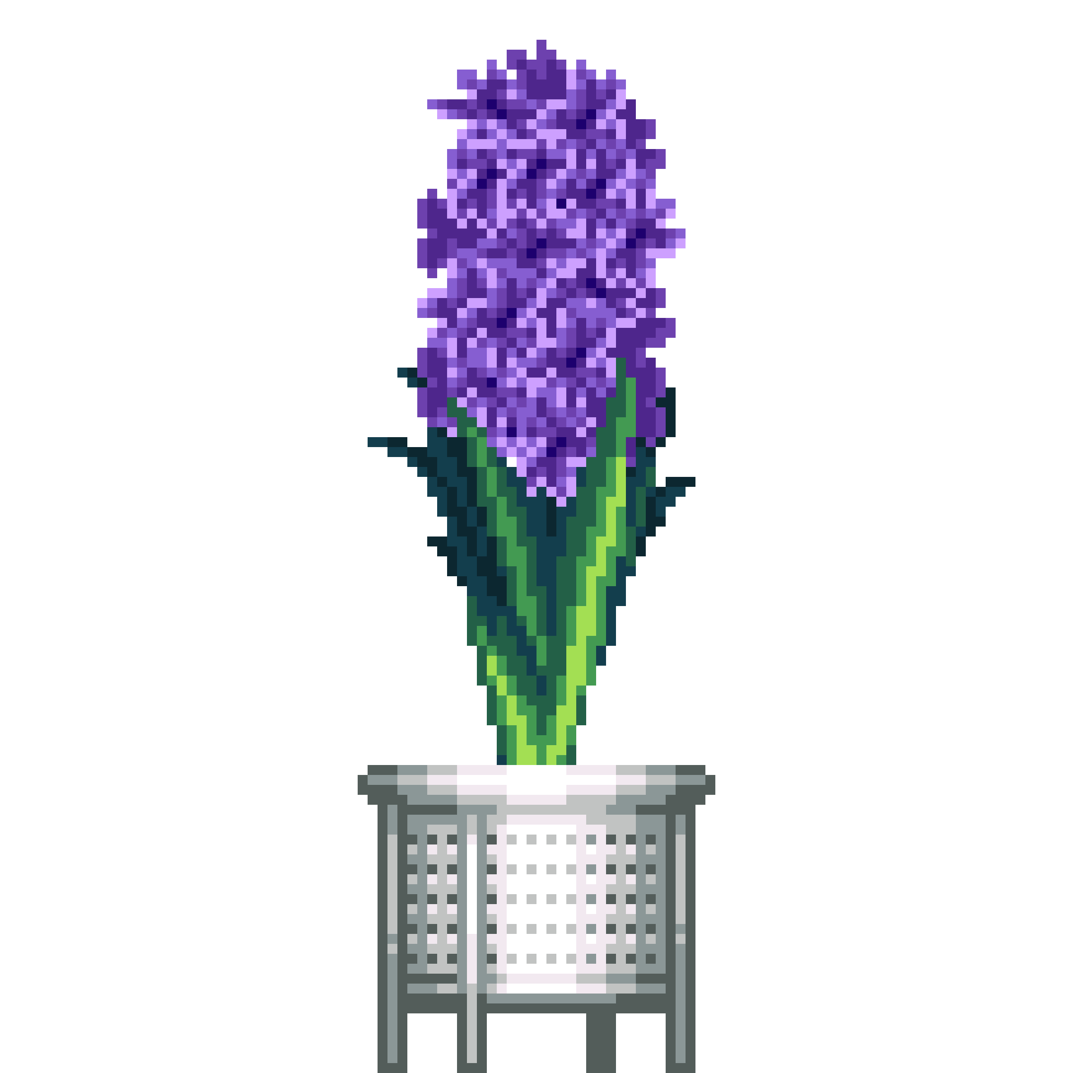 Purple Hyacinth in White Rattan pot