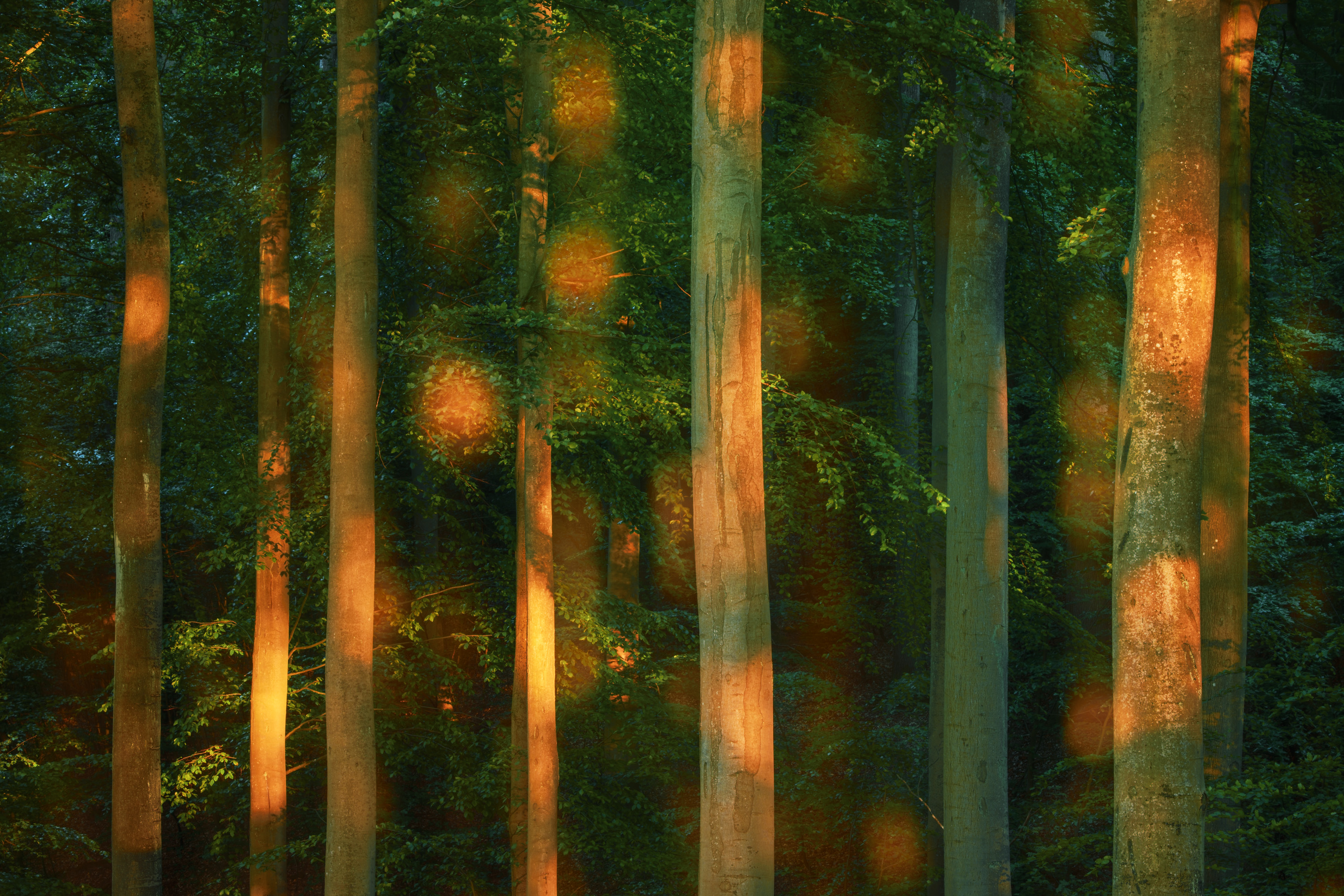PHOTOPIA 2022 #5225