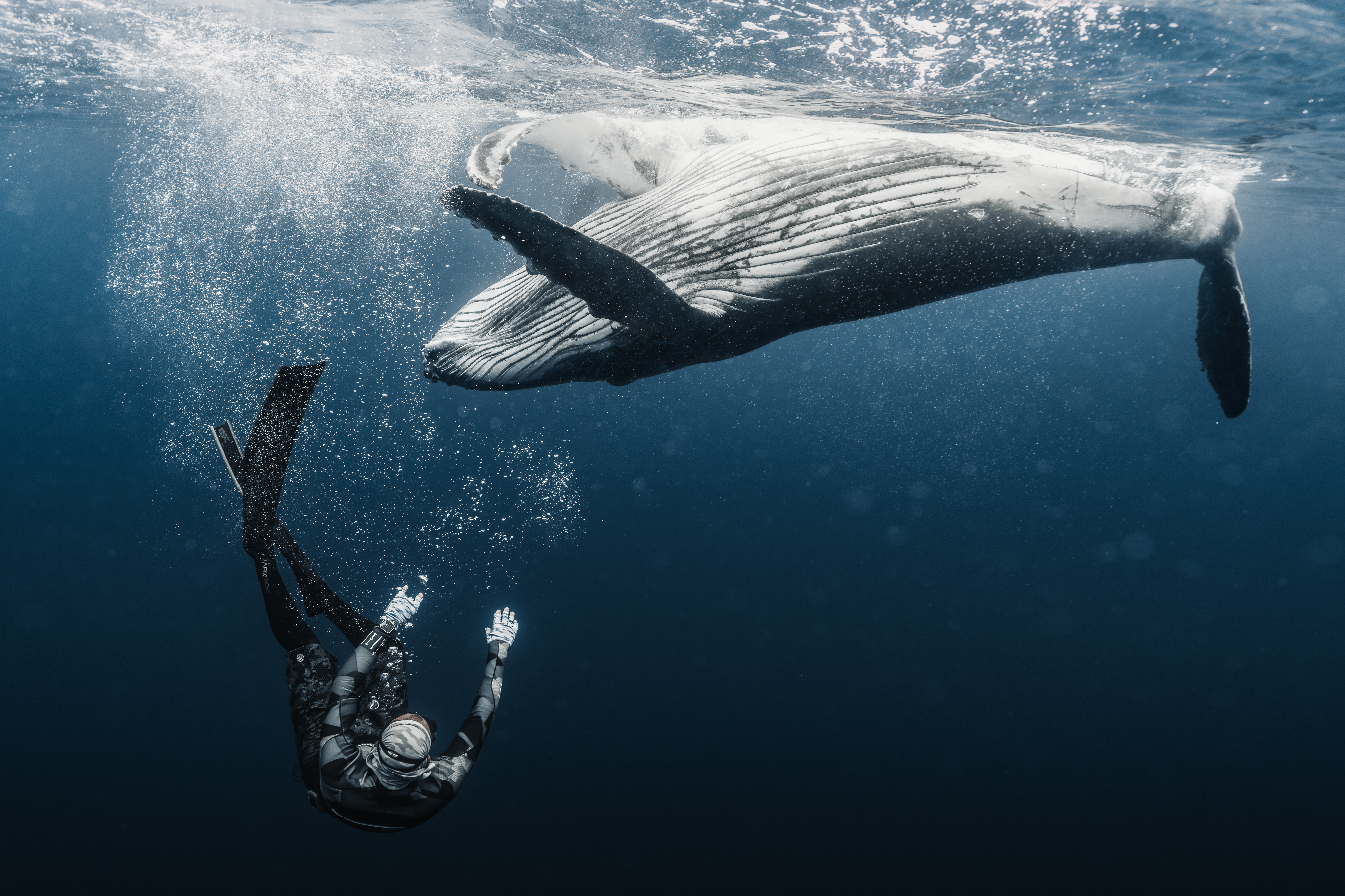 Tales from the Blue Planet - Part II