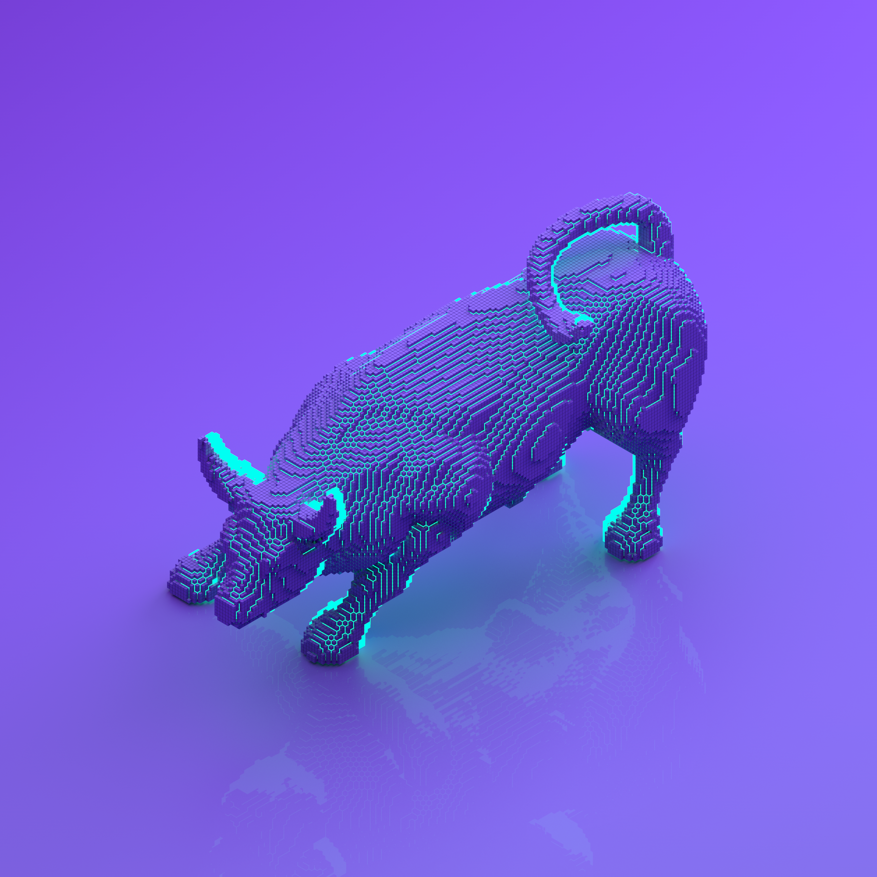 NEOBULL