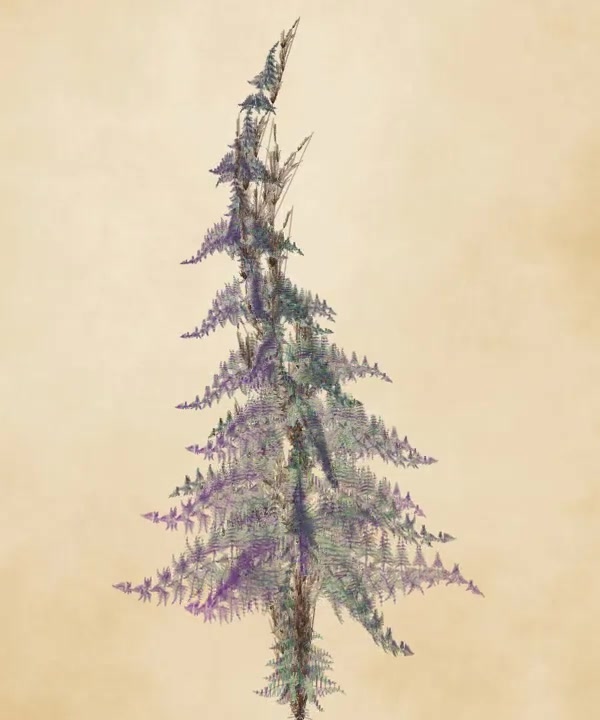 Floral Fractal #3