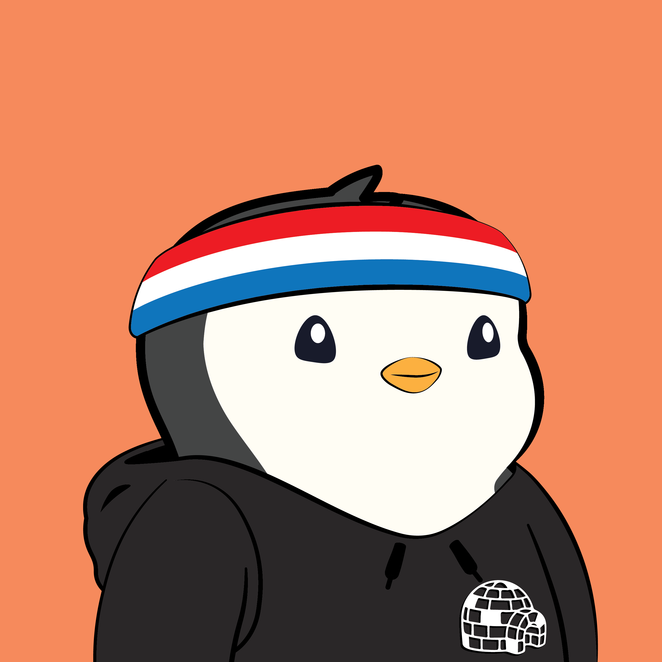 Pudgy #3488