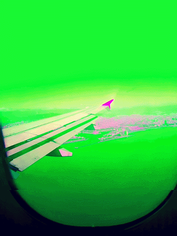 Fly