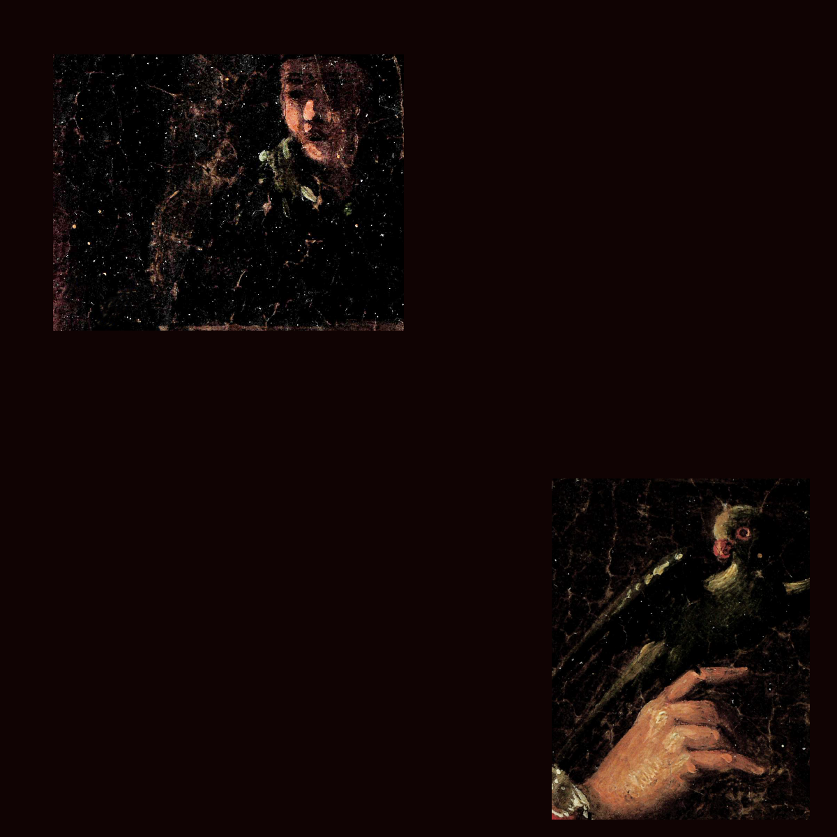 Sous le regard du caniche