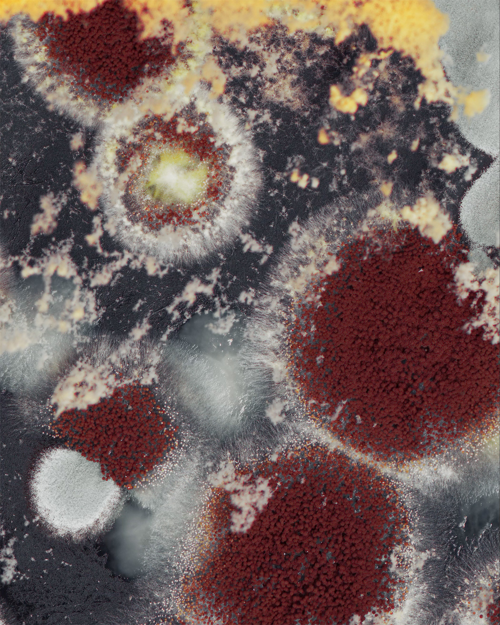 POLLOCK DANCES WITH A SMILING COPPER ! #31/33