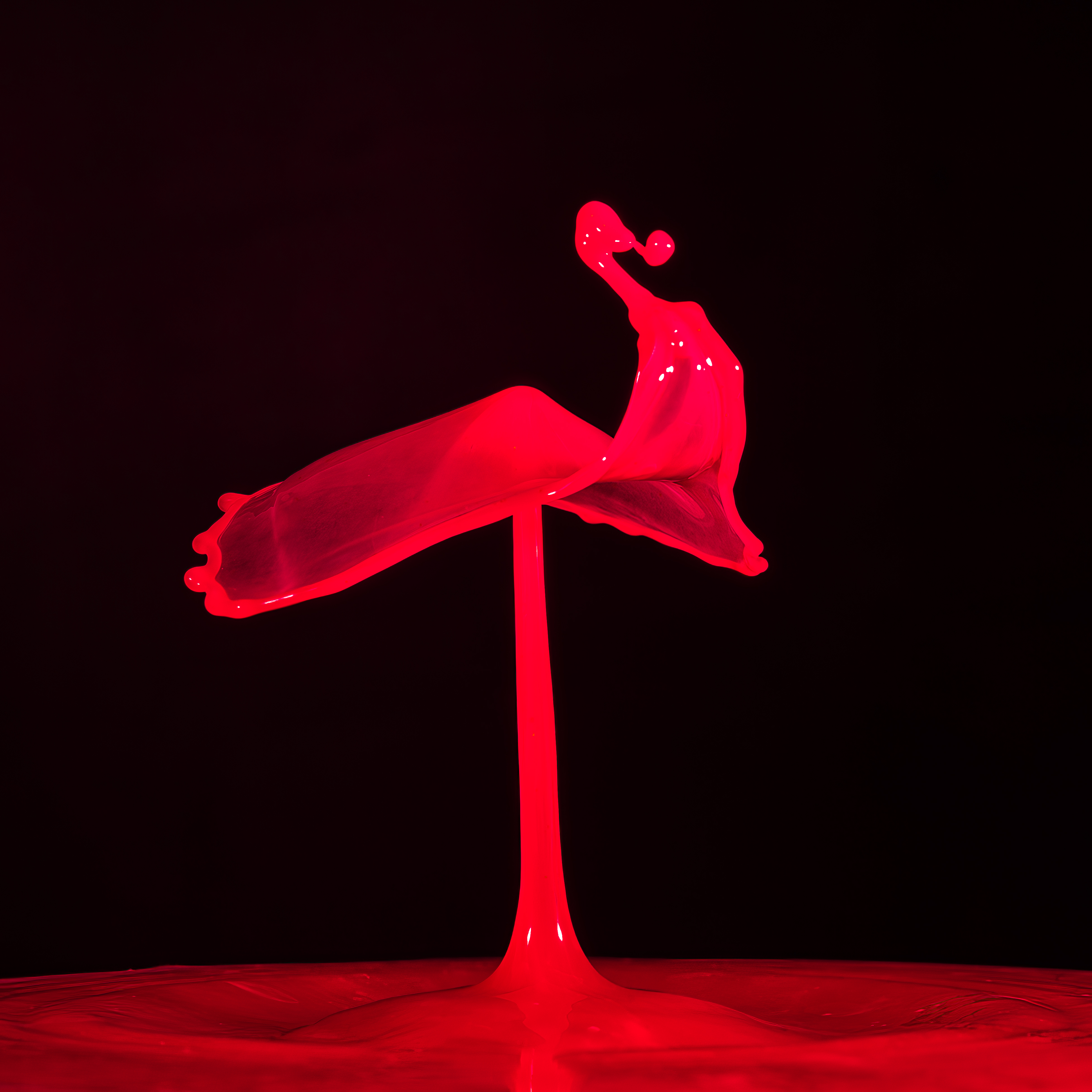 Splash of Red #6/16