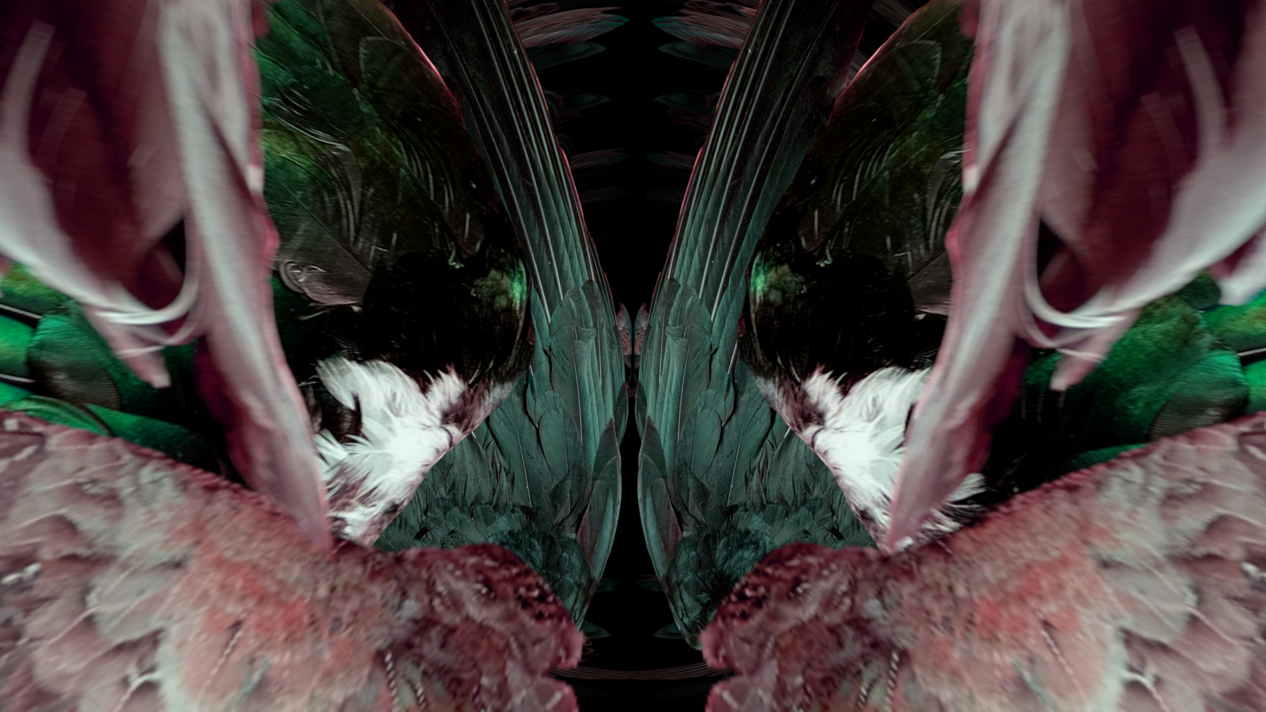 Fuga delle Sirene LIII