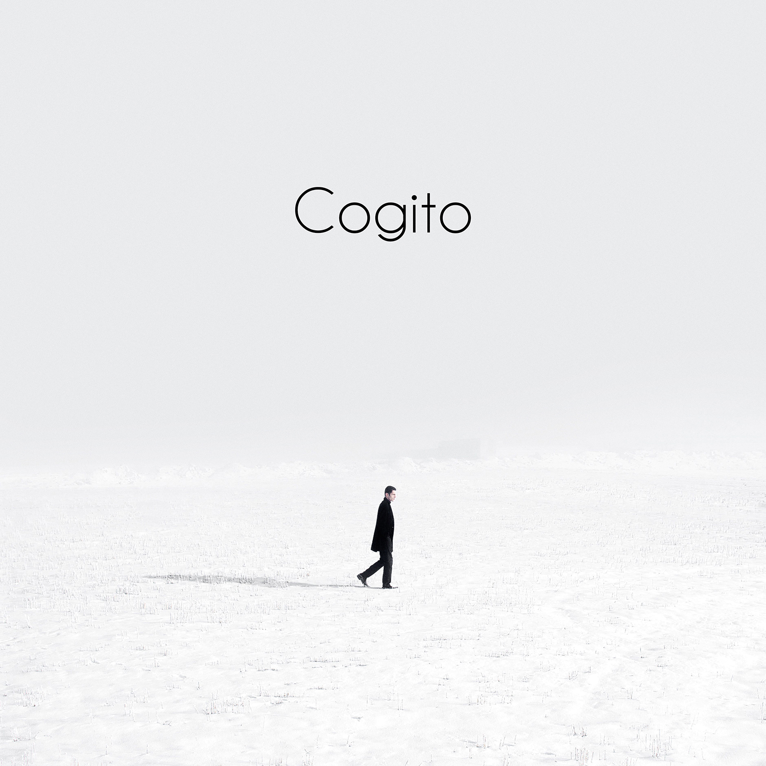Motif 10 - Cogito